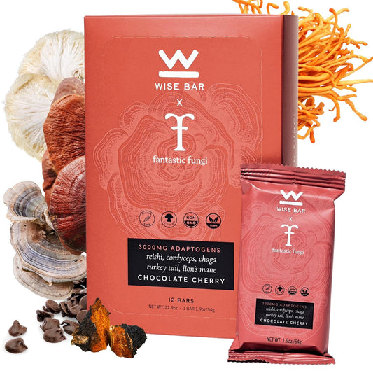 Organic Vegan Mushroom Nutrition Bars with Reishi, Lions Mane & Ashwagandha for Focus & Energy, Chocolate Cherry, 12 Count