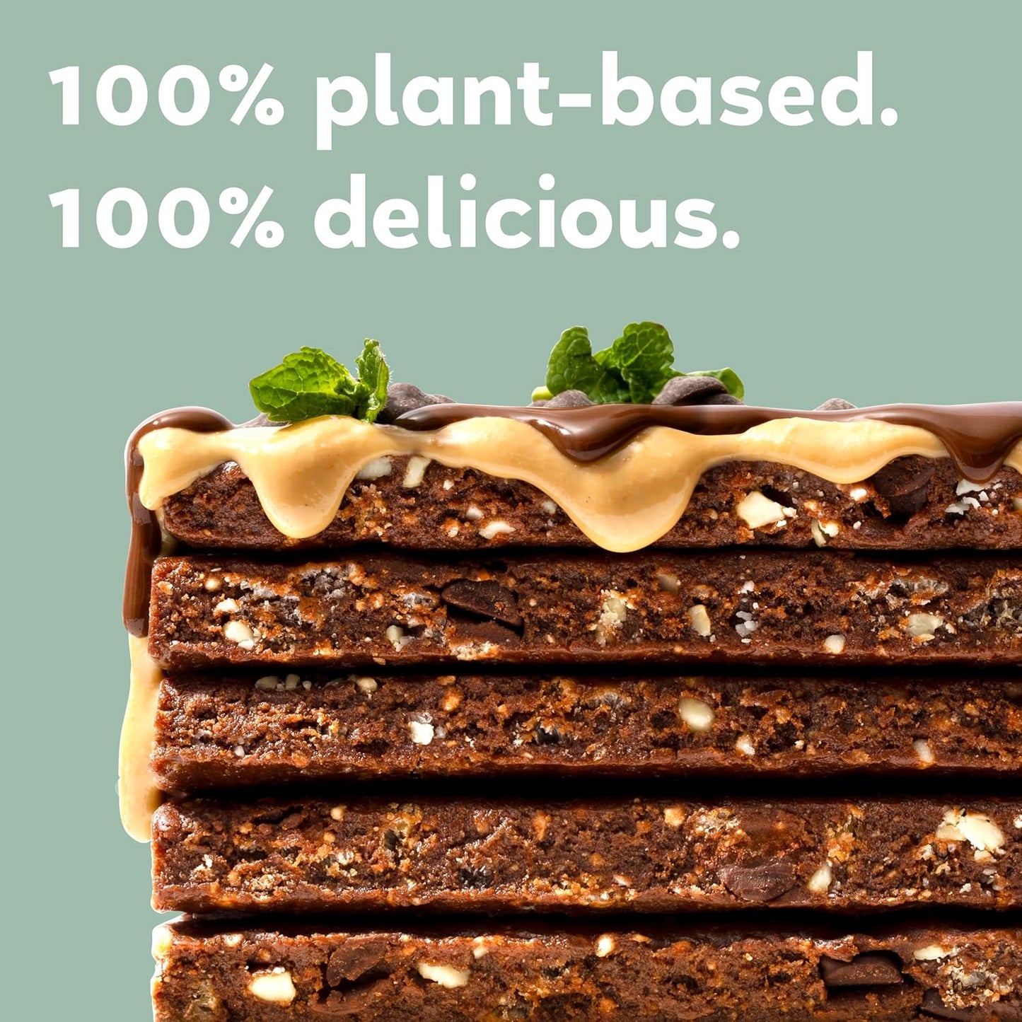 Organic Vegan Protein Bars - Mint Chocolate Chip Flavor, 27.6 Ounces, Pack of 12 bars by GoMacro