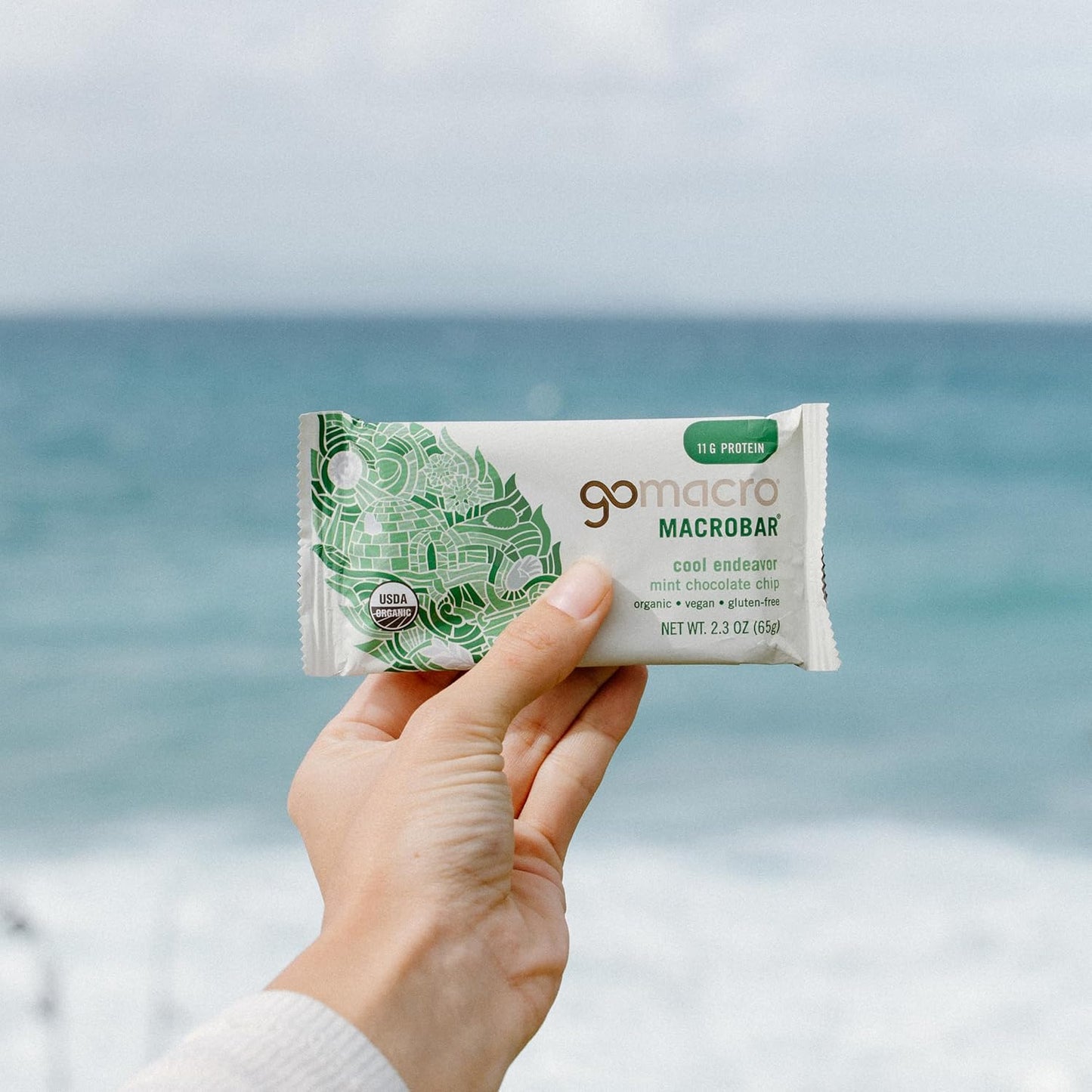 Organic Vegan Protein Bars - Mint Chocolate Chip Flavor, 27.6 Ounces, Pack of 12 bars by GoMacro
