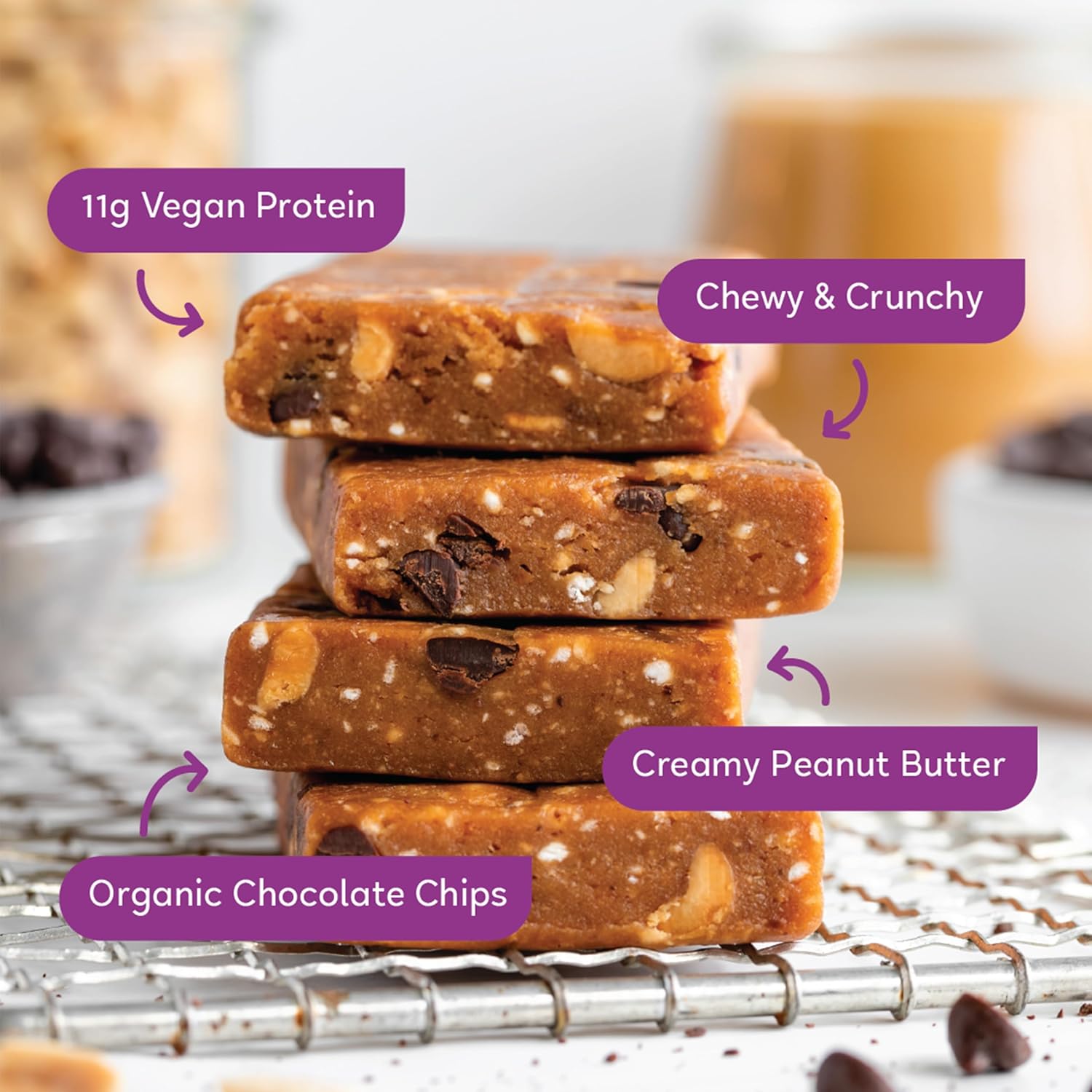Organic Vegan Protein Bars - Peanut Butter Chocolate Chip (12 Pack, 2.4 oz Bars) by GoMacro