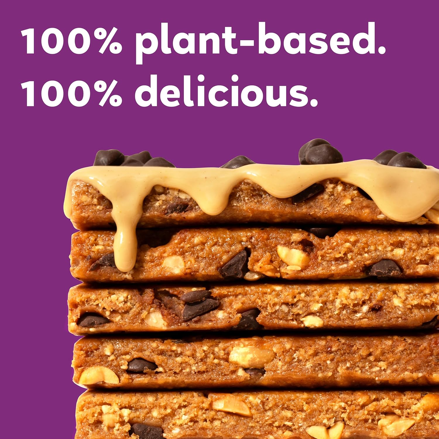 Organic Vegan Protein Bars - Peanut Butter Chocolate Chip (12 Pack, 2.4 oz Bars) by GoMacro