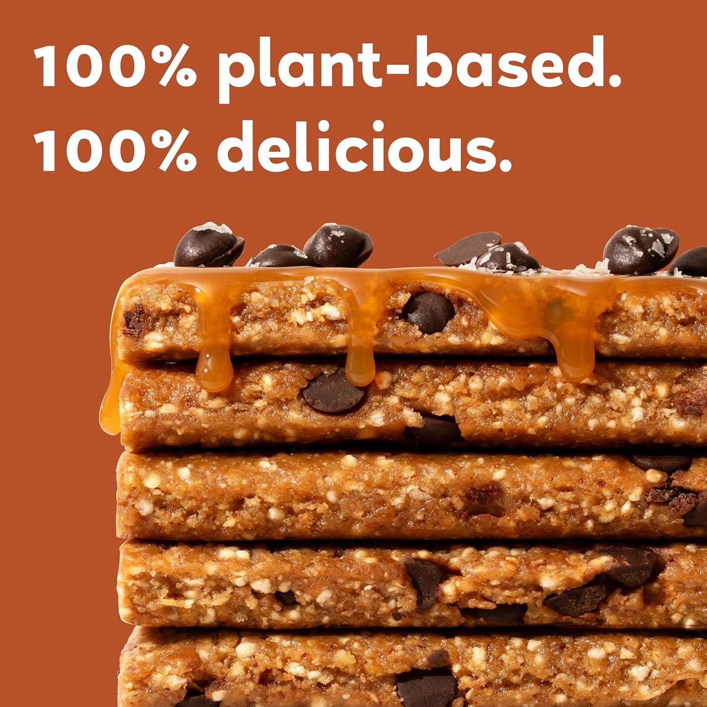 Organic Vegan Protein Bars - Salted Caramel + Chocolate Chips (12 Pack, 2.3 Ounce Bars) by GoMacro