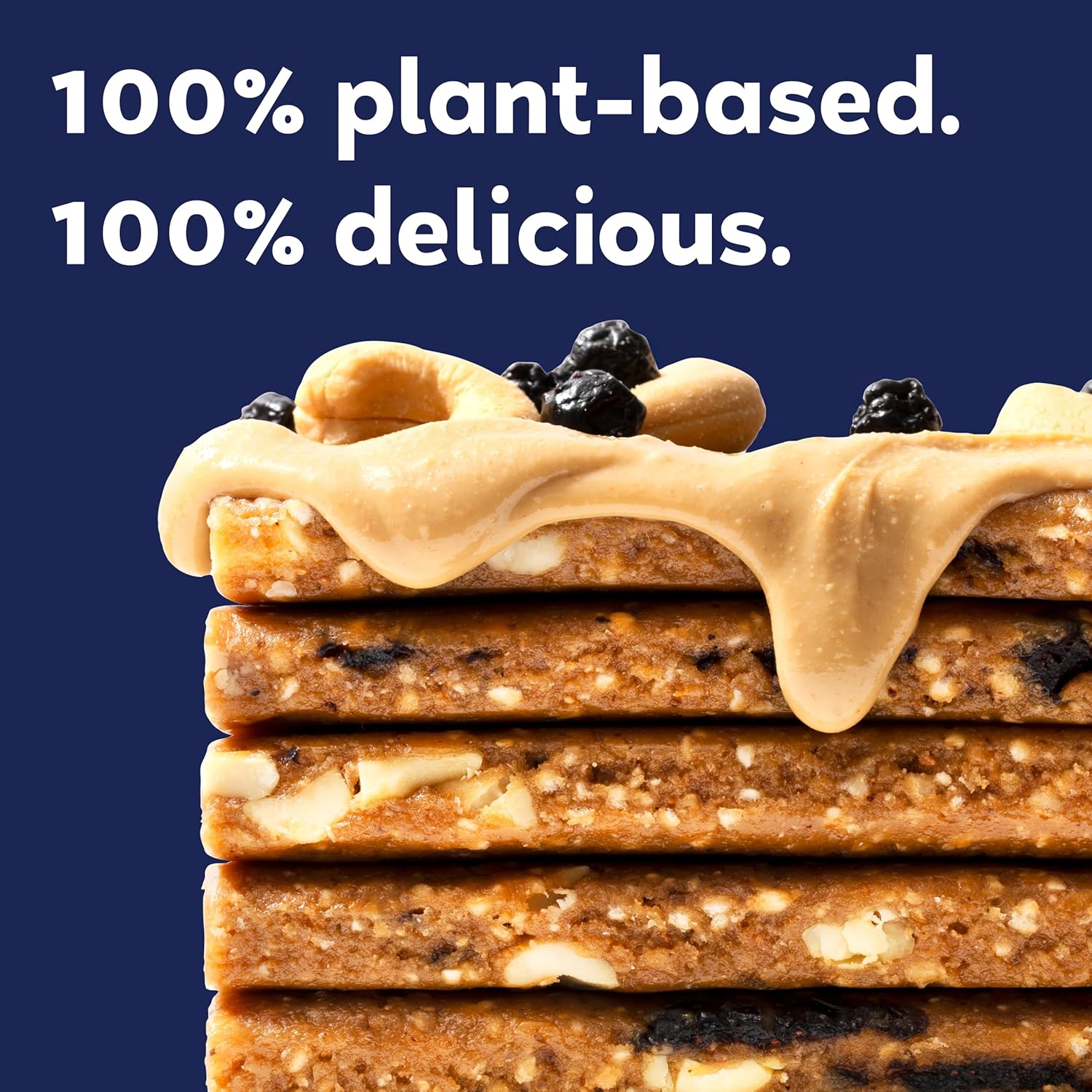 Organic Vegan Protein Bars with Blueberry + Cashew Butter - 2.3 oz Bars (Pack of 12) by GoMacro