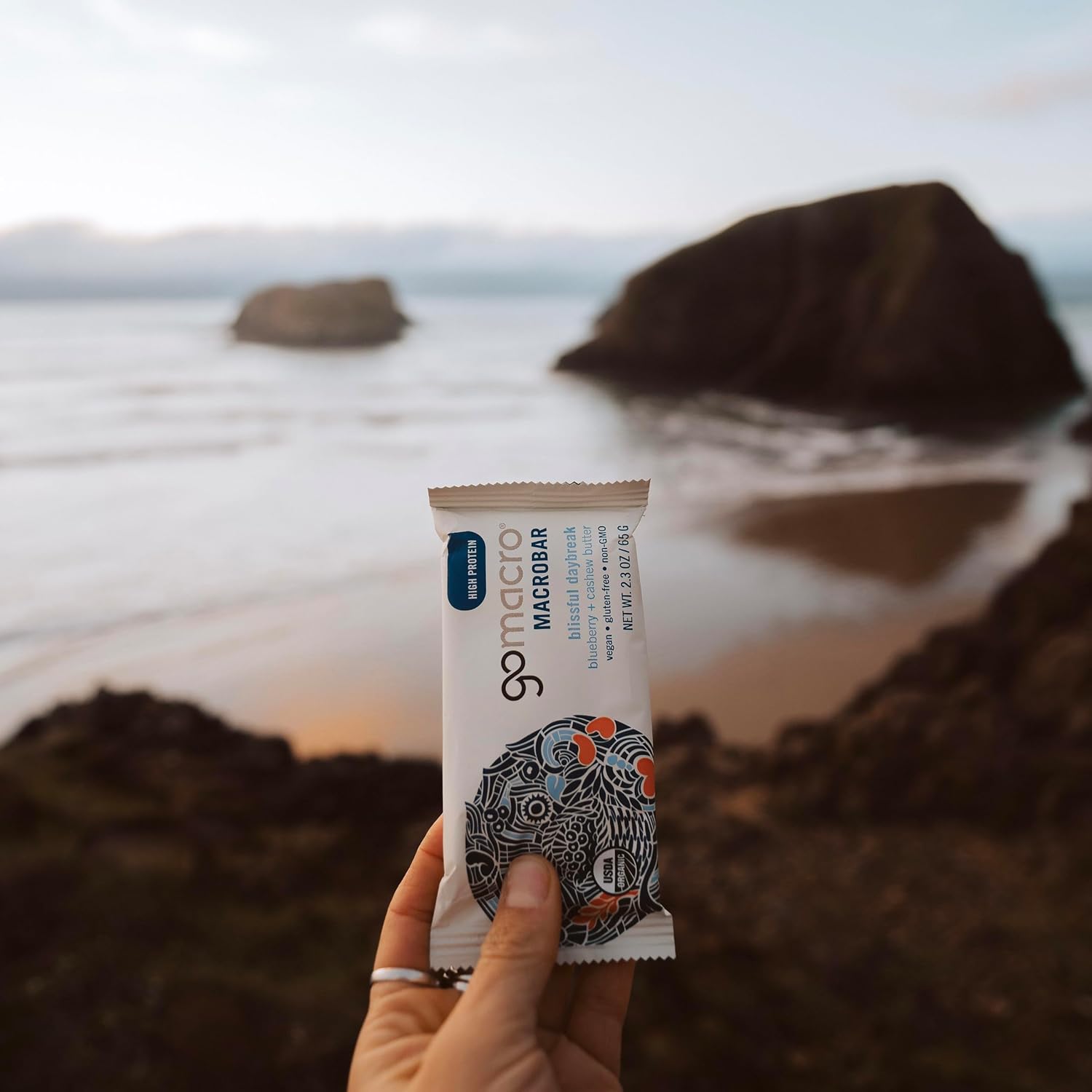Organic Vegan Protein Bars with Blueberry + Cashew Butter - 2.3 oz Bars (Pack of 12) by GoMacro