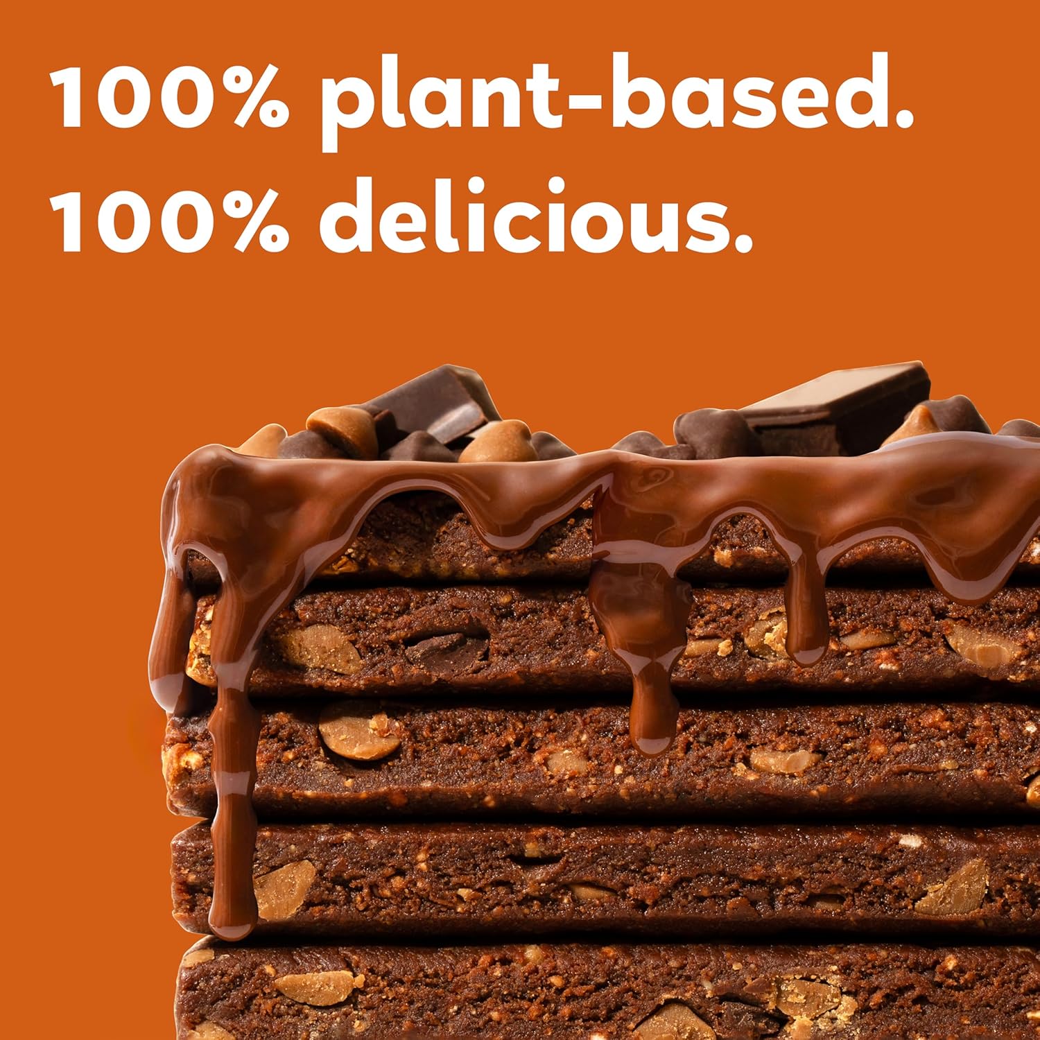 Organic Vegan Protein Bars with Double Chocolate and Peanut Butter - 12 Count (2.3 oz Bars) by GoMacro