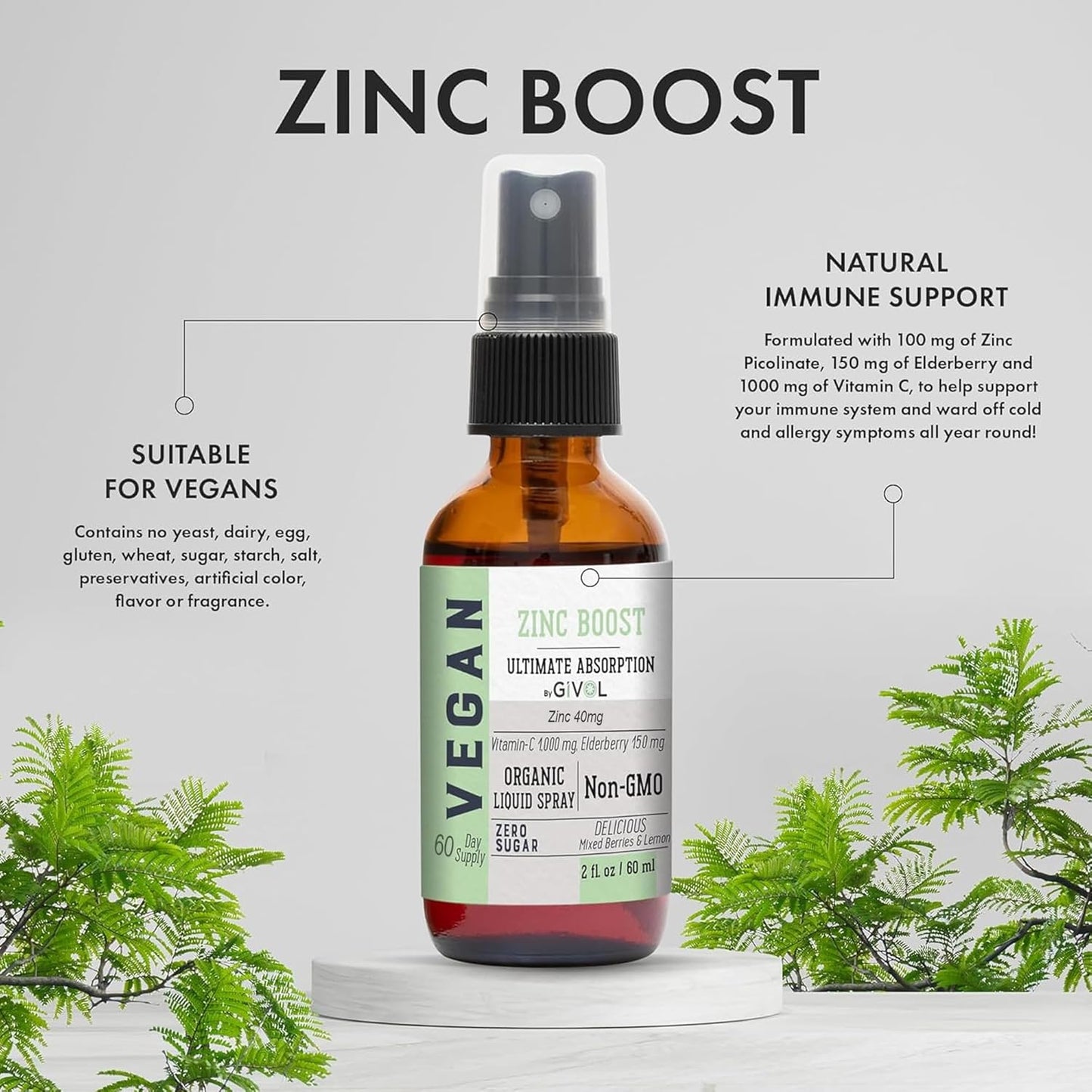 Organic Vegan Vitamin B12 Liquid Mist with Zinc Boost - 5,000mcg Methylcobalamin - Sugar Free with Vitamin C and Elderberry Extract - Non-GMO - Fast Absorption