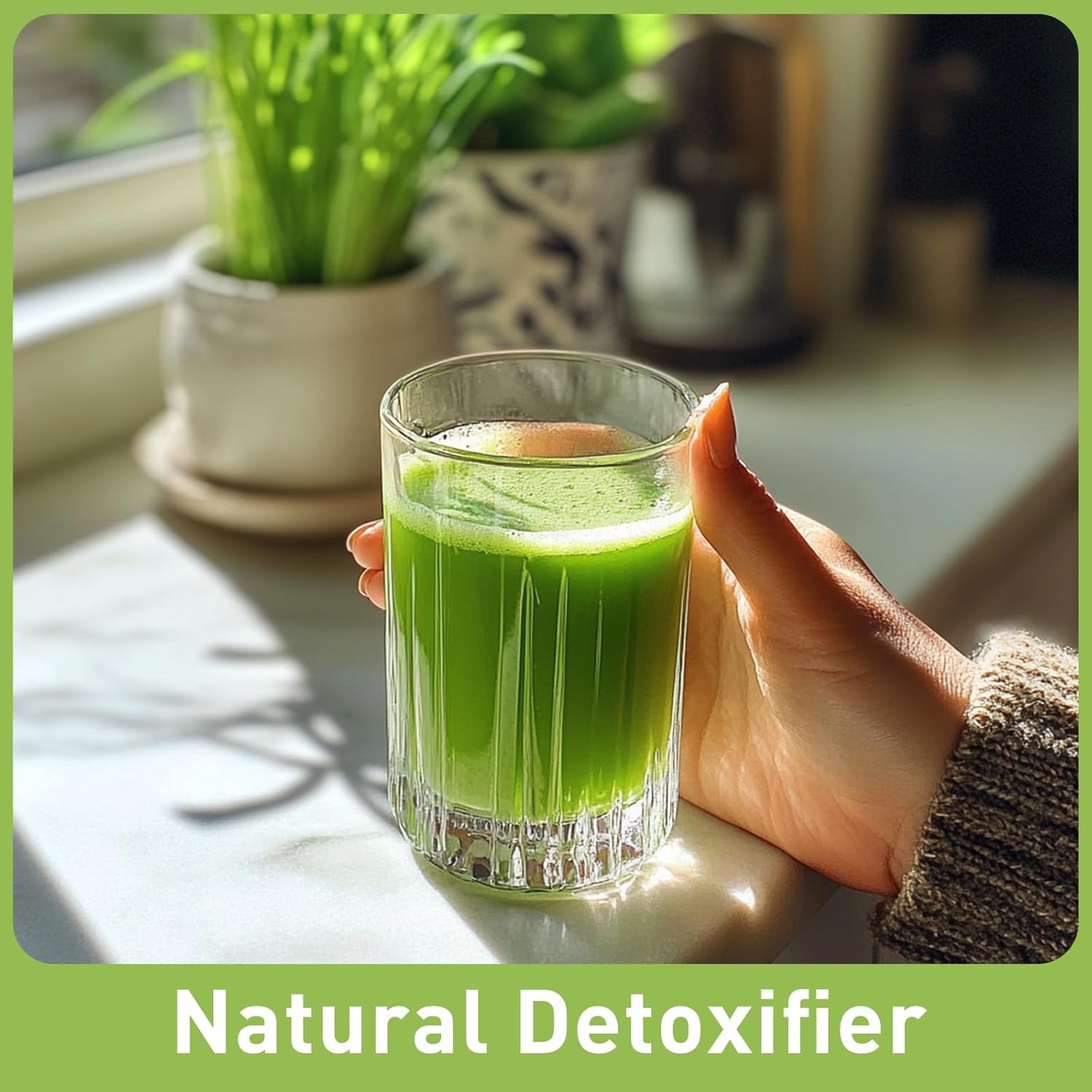 Organic Wheat Grass Juice Powder 16 oz - Pure Natural Green Food, Rich in Nutrients, Immune System Booster, Energy Boost, Anti-Inflammatory Detoxifier