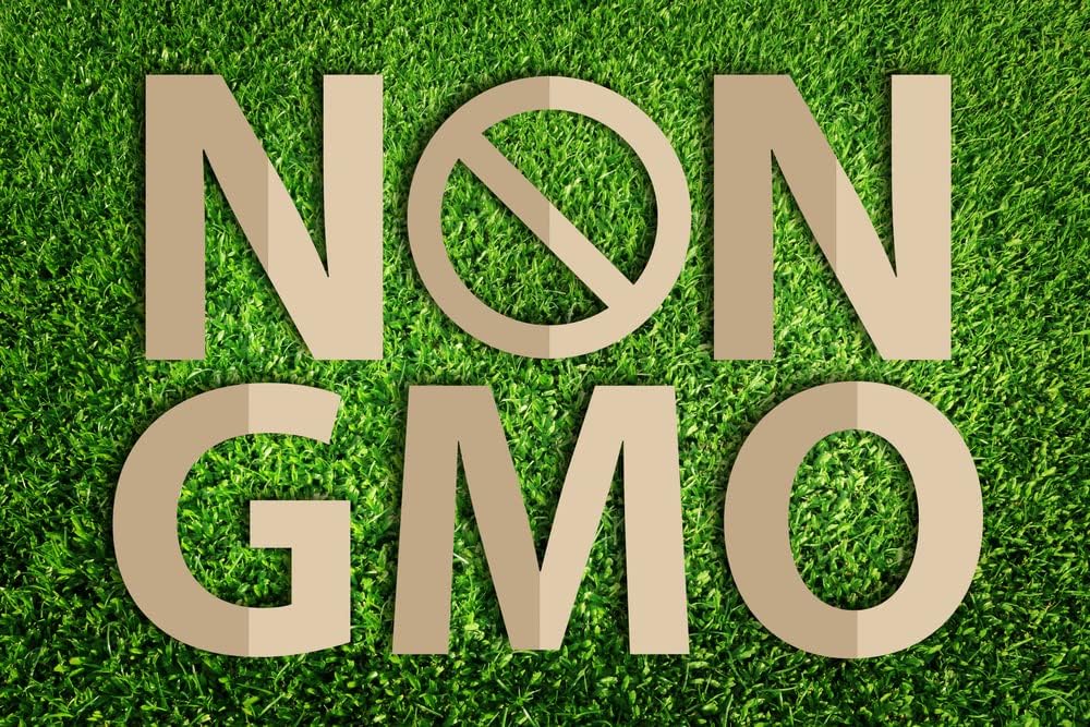 Organic Whole Food Multivitamins & Minerals with Probiotics, Fruits, Vegetables - 30 Count Vegan Formula