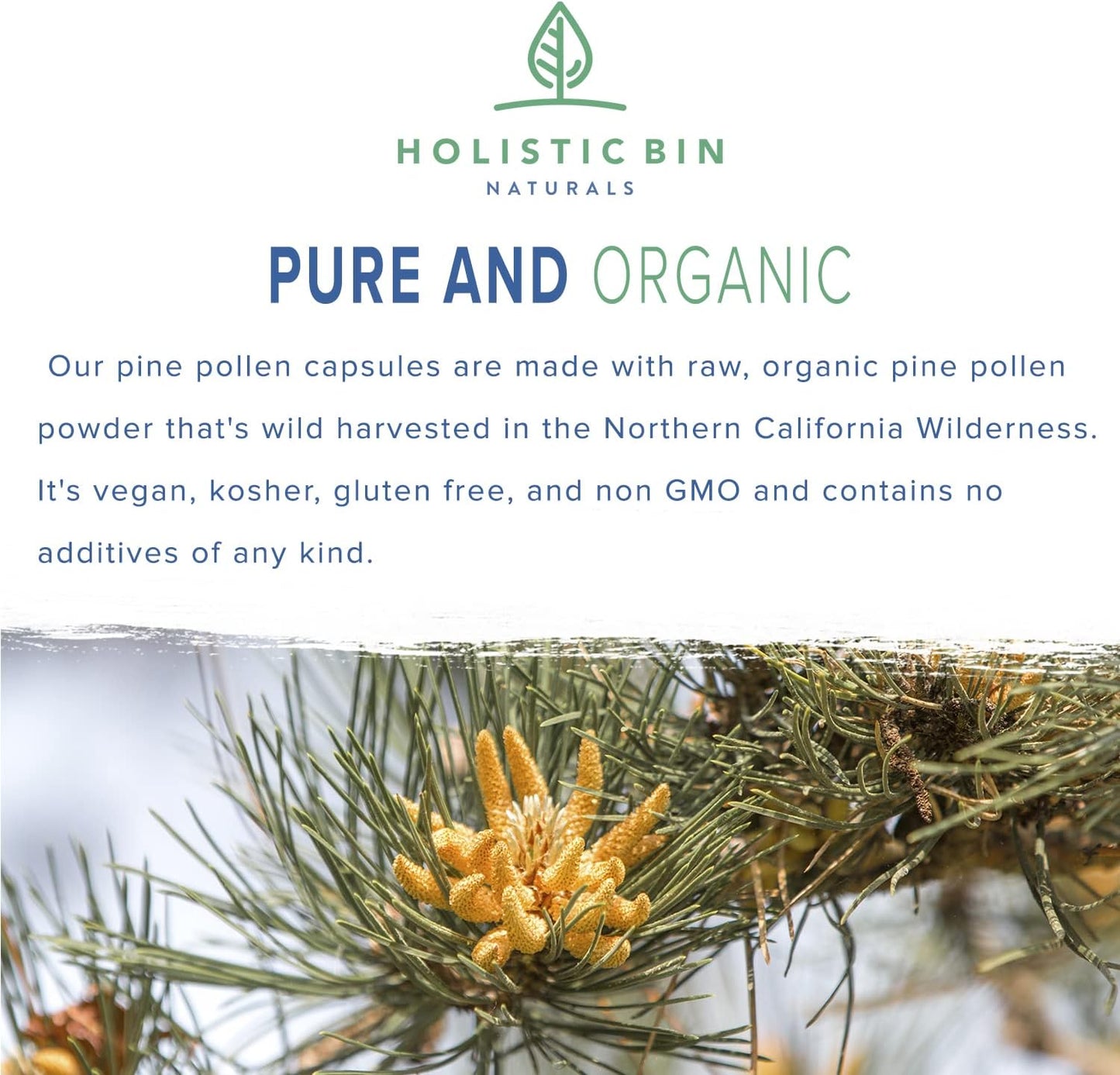 Organic Wild Harvested California Ponderosa Pine Pollen Capsules - 500mg - Non-GMO - Olympic Grade - 30 Day Supply