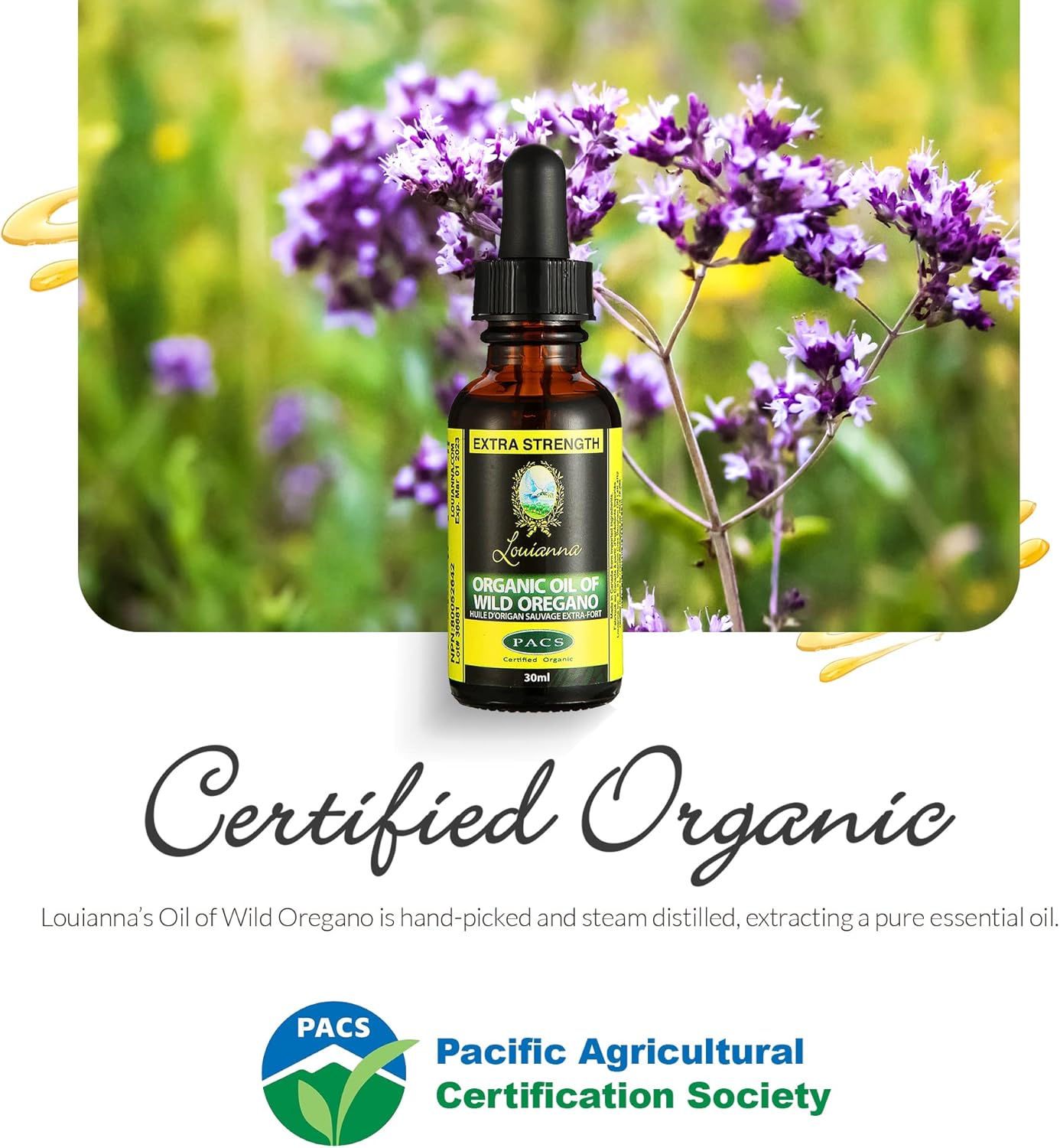 Organic Wild Oregano Oil Drops - 80% Carvacrol, 30mL - Oral & Topical Use - BoostGo Australia