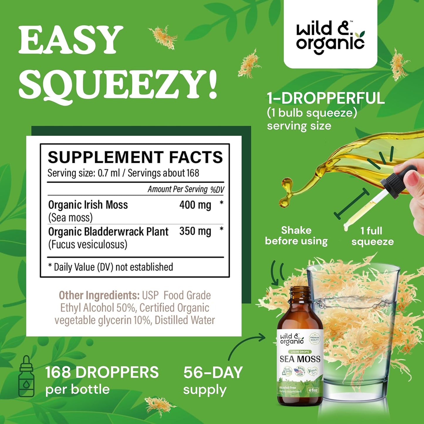 Organic Wild Sea Moss and Bladderwrack Drops for Overall Support - Vegan Liquid Supplement with Multimineral Chondrus Crispus Tincture - 4 fl oz