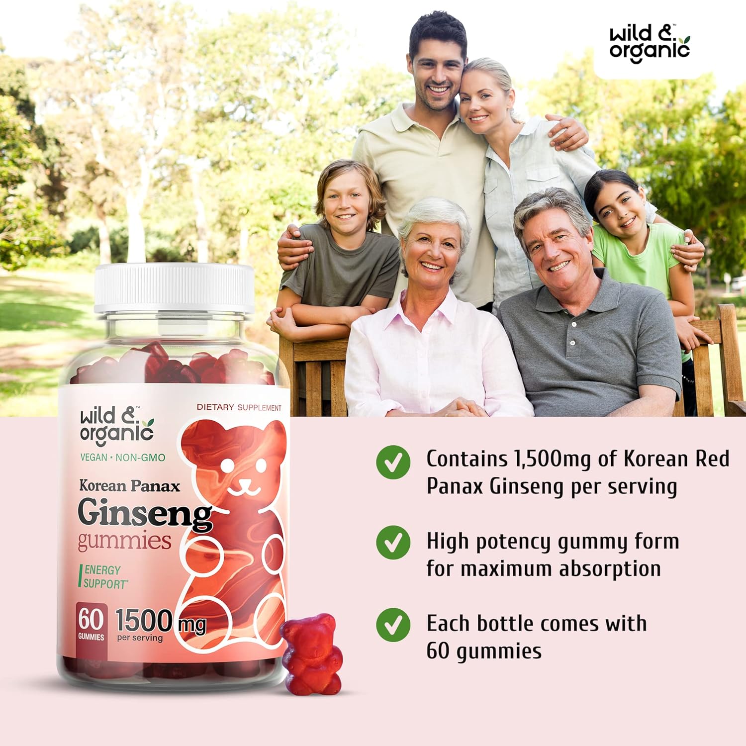 Organic Wild Superfood Gummies: Korean Panax Red Ginseng & Ginkgo Biloba Bundle - Energy & Brain Support - 120 Chews