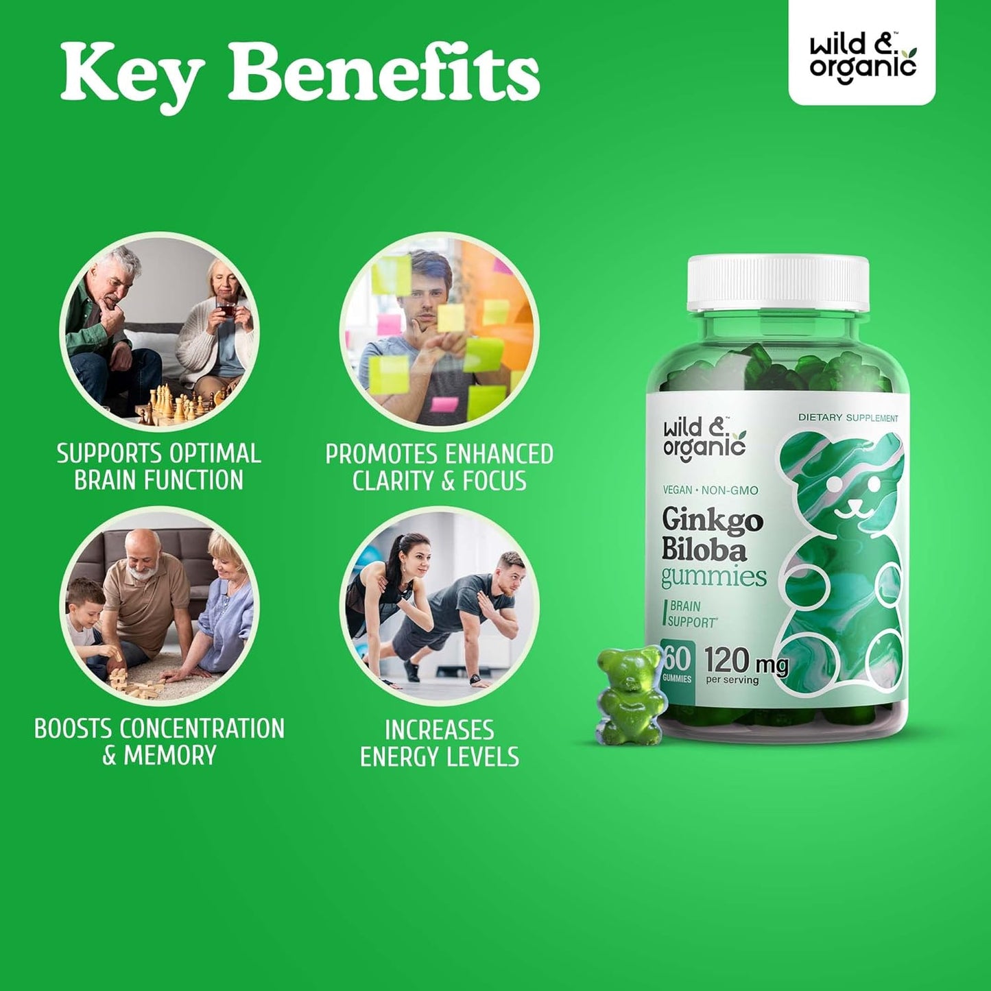 Organic Wild Superfood Gummies: Korean Panax Red Ginseng & Ginkgo Biloba Bundle - Energy & Brain Support - 120 Chews