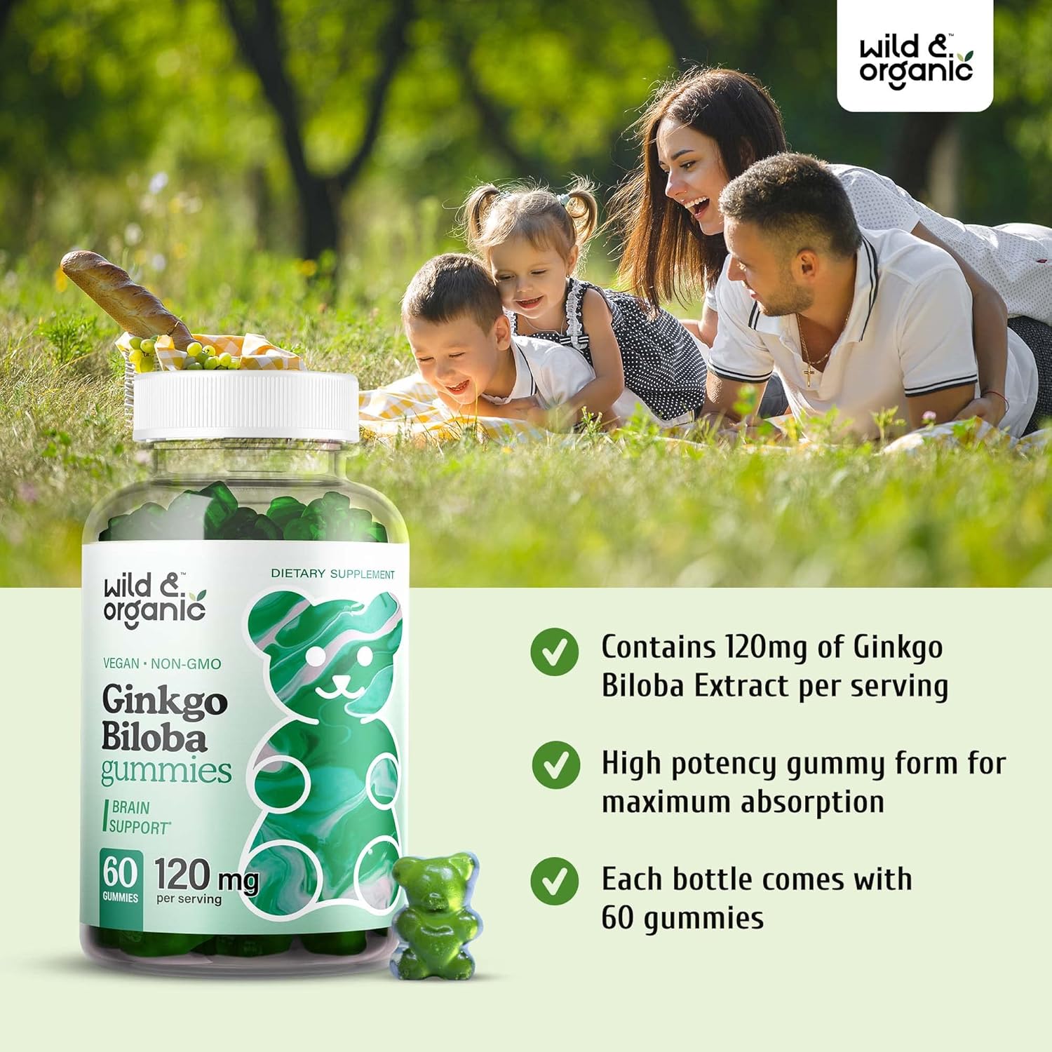 Organic Wild Superfood Gummies: Korean Panax Red Ginseng & Ginkgo Biloba Bundle - Energy & Brain Support - 120 Chews