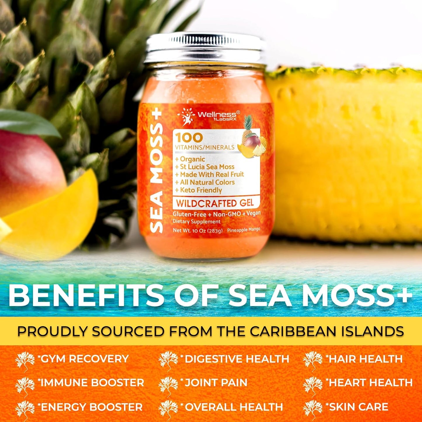 Organic Wildcrafted Irish Sea Moss Gel with Pineapple Mango Flavor - 10 oz - Rich in Vitamins and Minerals from Caribbean Waters