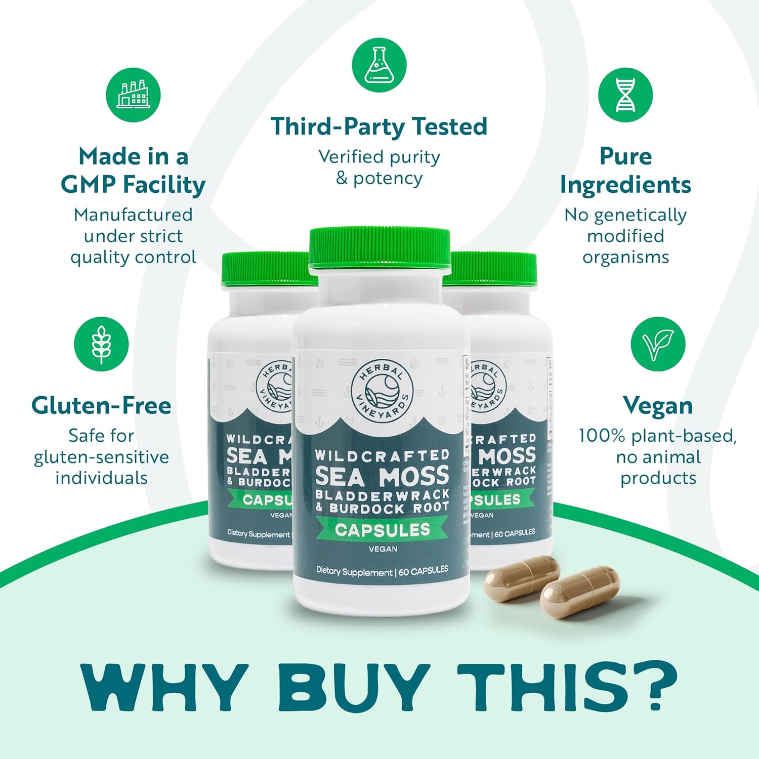 Organic Wildcrafted Vegetable Capsules with Irish Sea Moss, Bladderwrack & Burdock Root - Immune Support, Healthy Skin & Energy - 60 Capsules, 1500MG - Immunity Booster