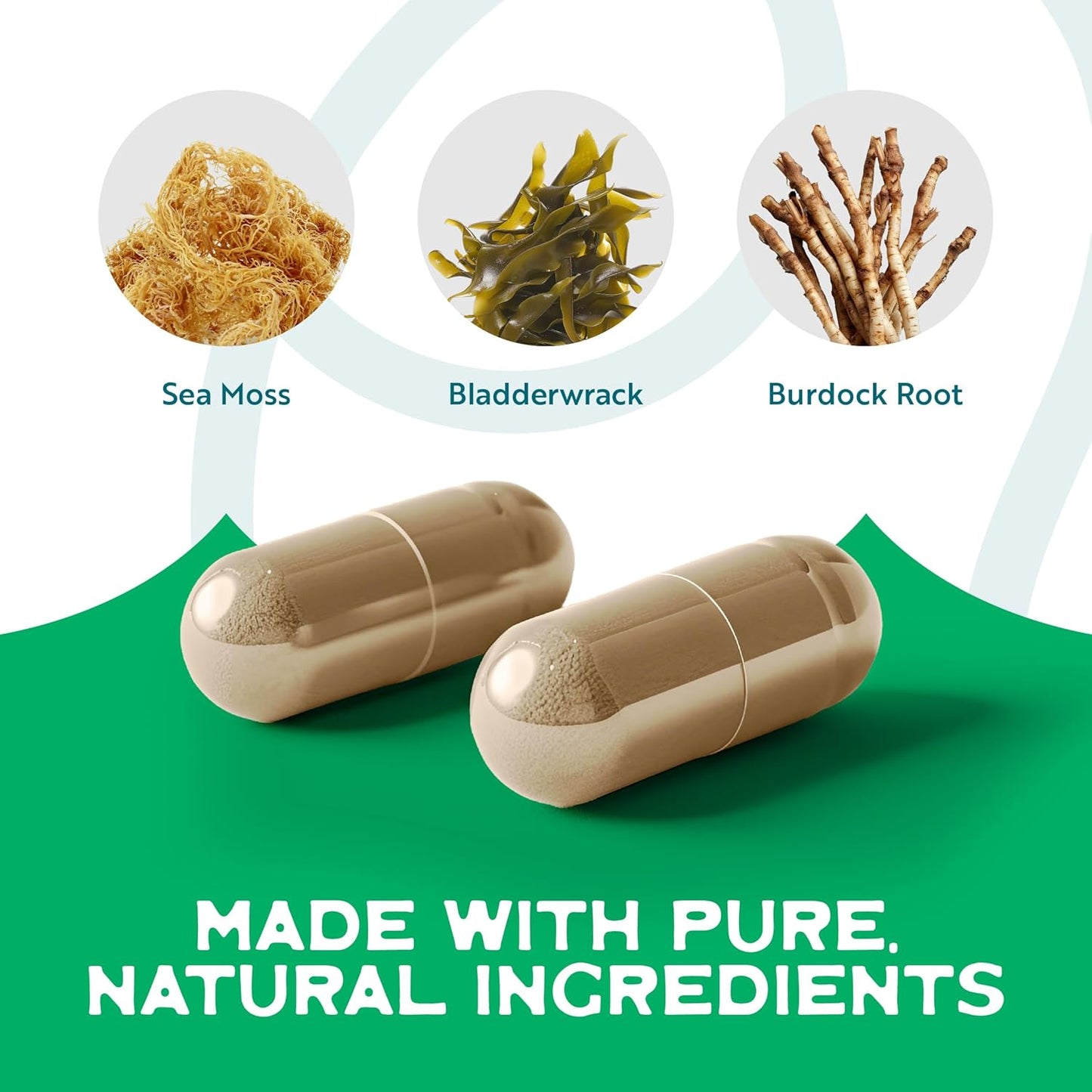 Organic Wildcrafted Vegetable Capsules with Irish Sea Moss, Bladderwrack & Burdock Root - Immune Support, Healthy Skin & Energy - 60 Capsules, 1500MG - Immunity Booster