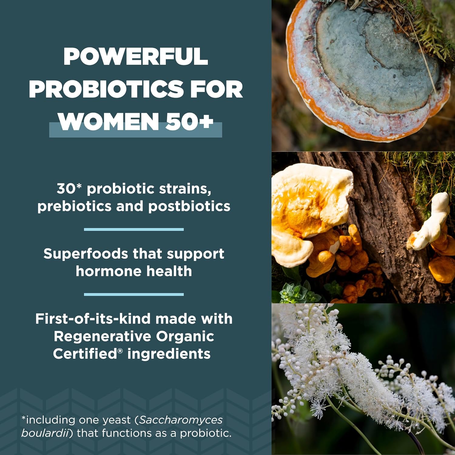 Organic Women's 50+ Probiotics Capsules & Supergreens Powder Bundle, 30 Count Capsules & 25 Servings Powder