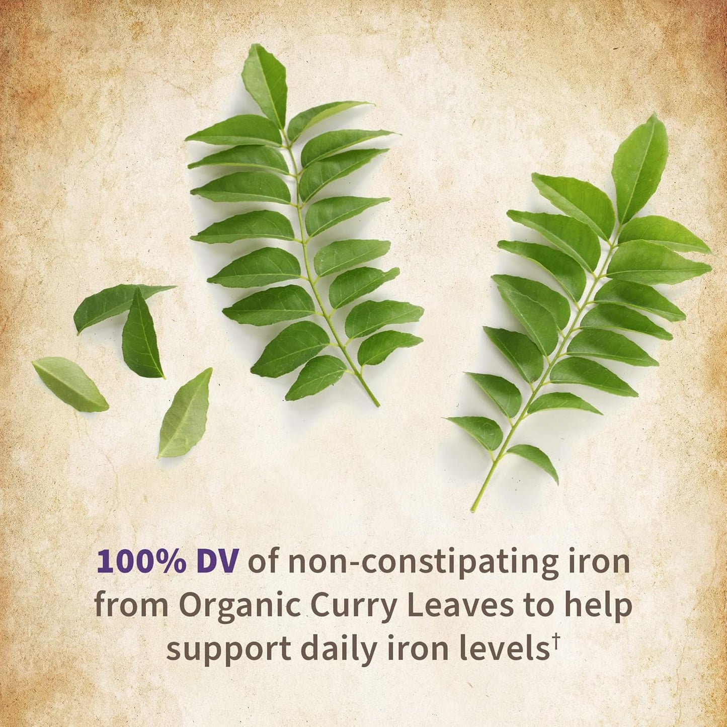 Organic Women's Prenatal Multivitamin with Vitamin D3, B6, B12 & Iron for Energy & Fetal Development - Non-GMO, Gluten-Free, Vegan - 60 Day Supply