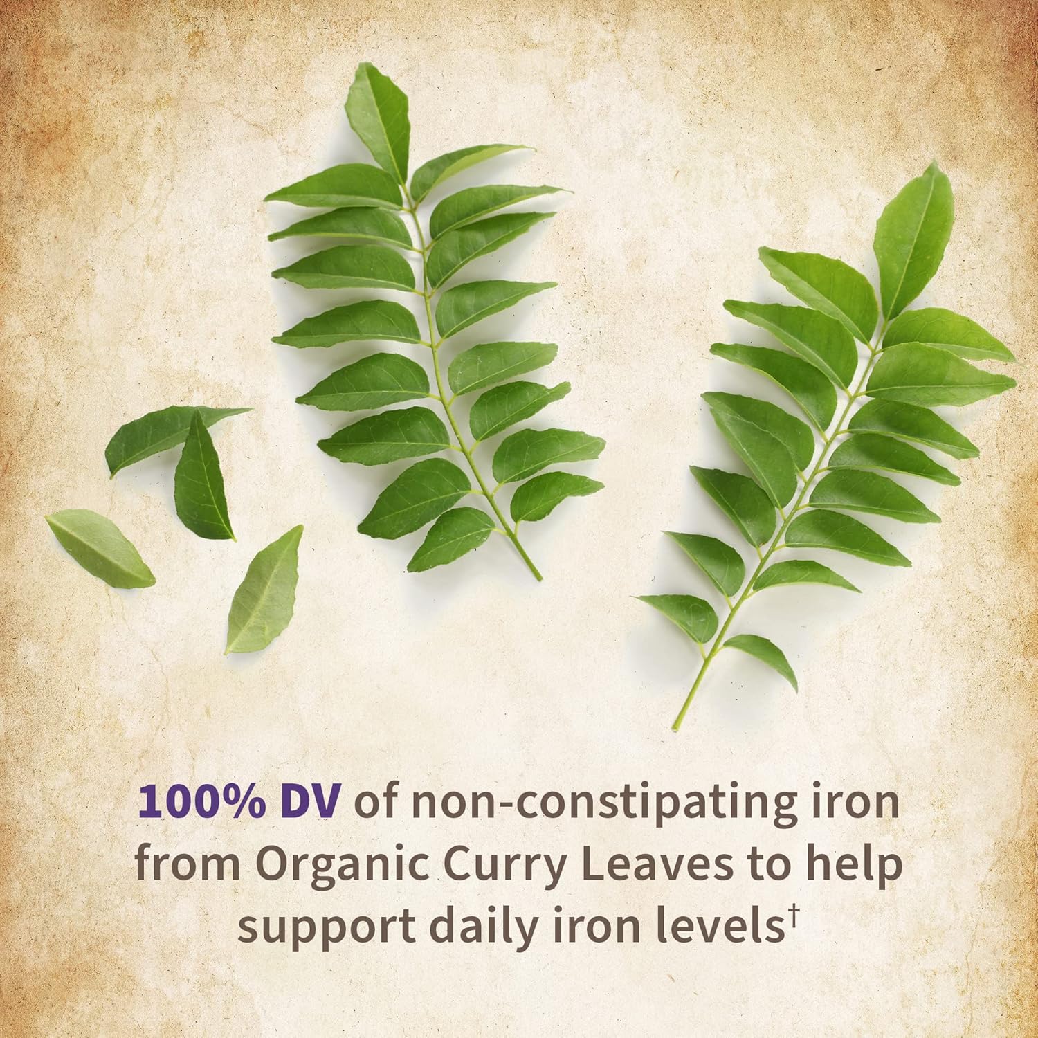 Organic Women's Prenatal Multivitamin with Vitamin D3, B6, B12 & Iron for Energy & Fetal Development - Non-GMO, Gluten-Free, Vegan - 60 Day Supply