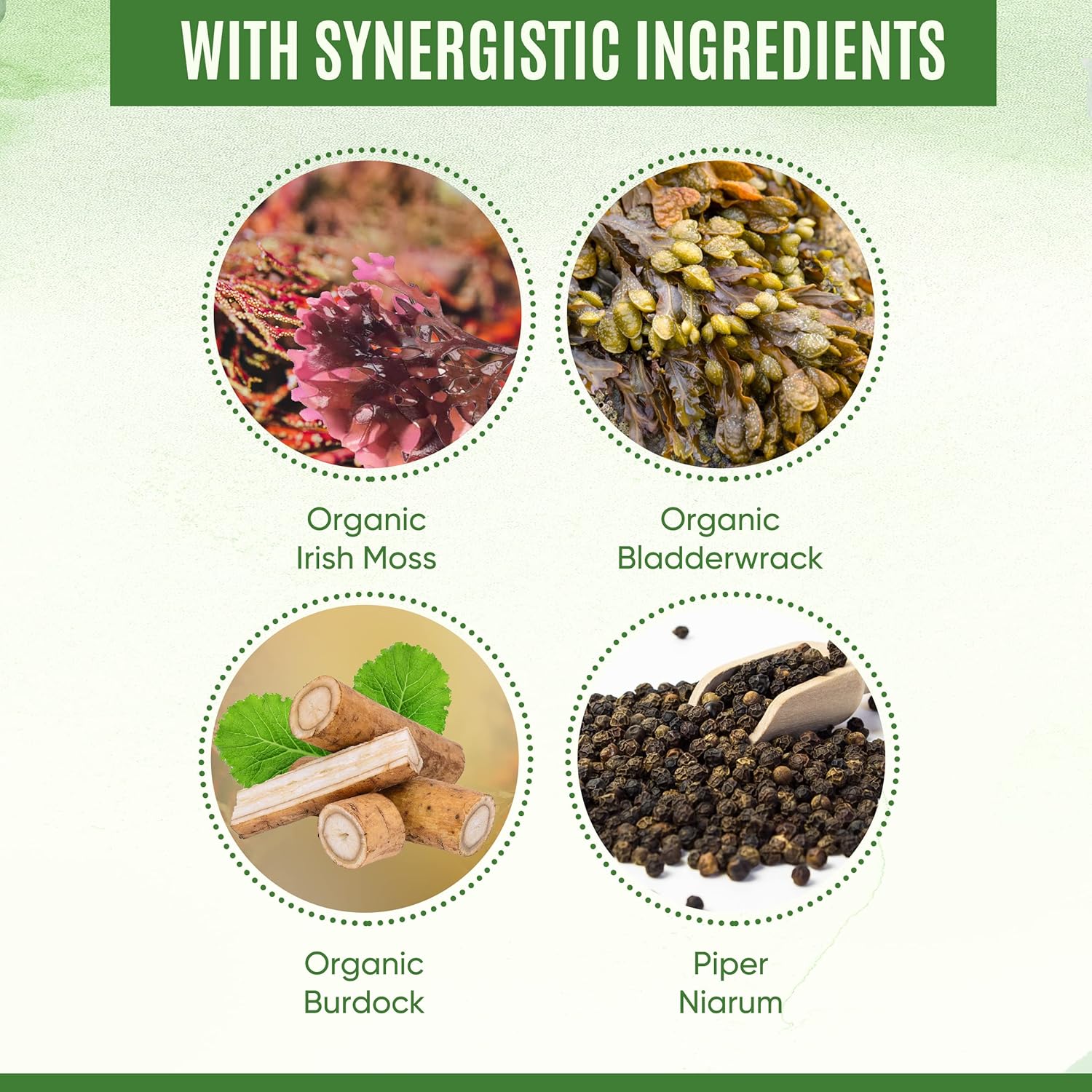 Organic YEVANI Sea Moss Capsules with Bladderwrack & Burdock Root for Gut Health, Immune Support, Thyroid - All Natural Supplement