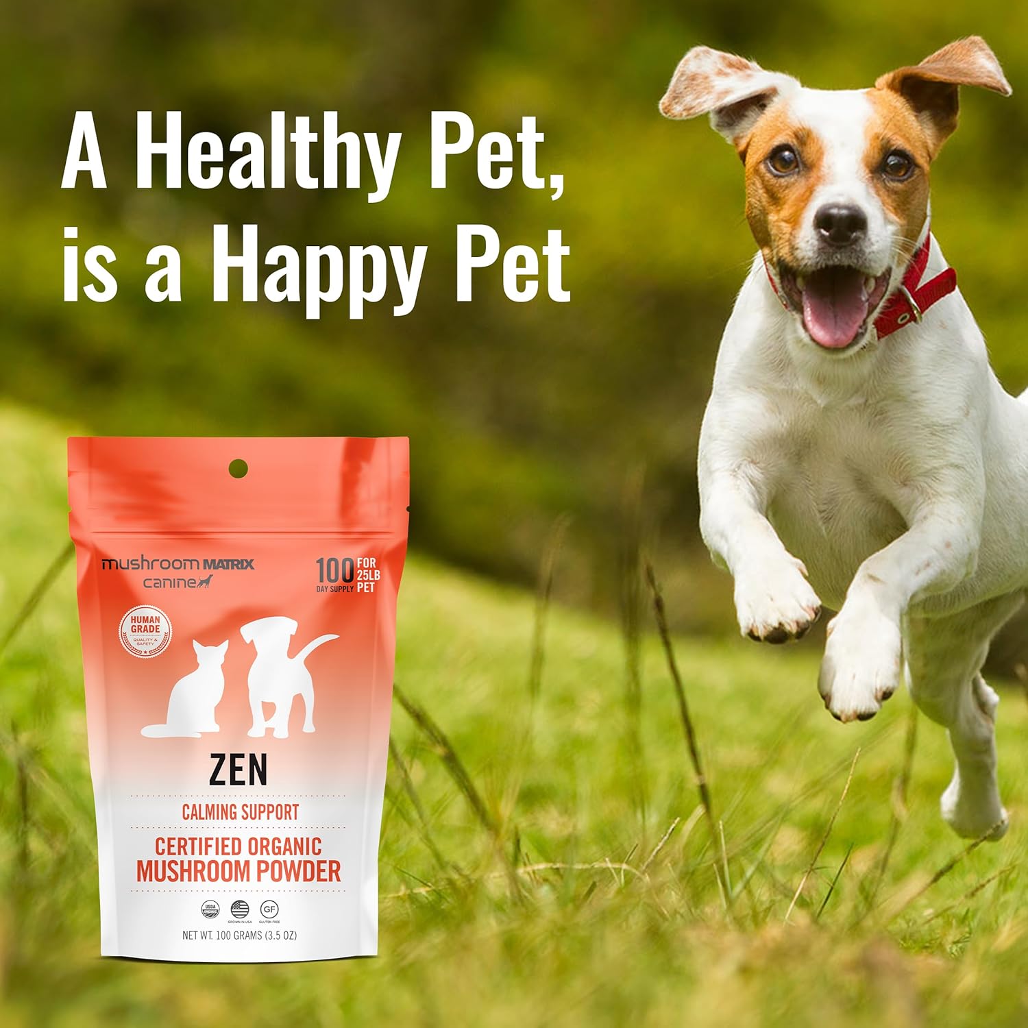 Organic Zen Matrix Mushroom Blend Pet Supplement for Dogs & Cats - USA Grown Calming Support Powder | 100g