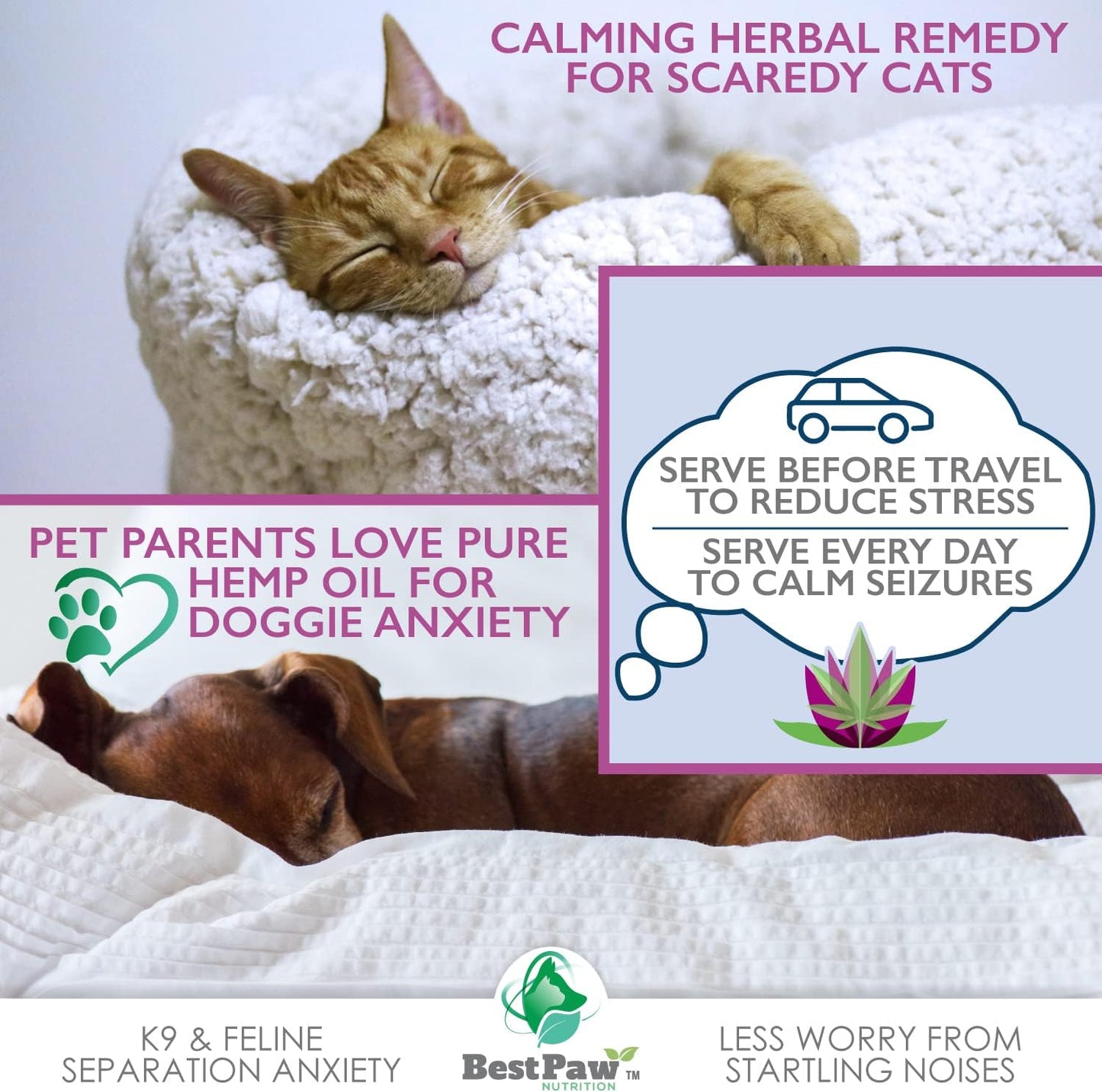 Organicmetabolism boosterOil for Dogs and Cats - Joint Pain Relief Supplement - Natural Separation Support - Calming Aid - Canadian Crops - 8oz