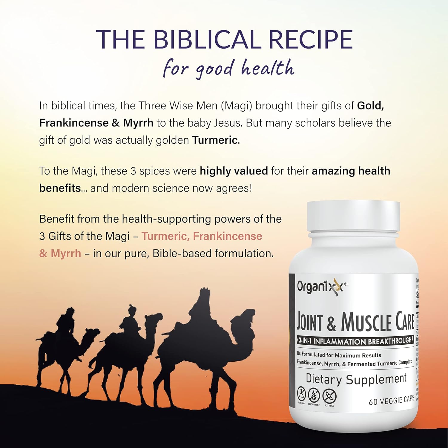 Organixx 7 Mushroom Supplement for Joint and Muscle Care - 60 Vegetarian Capsules