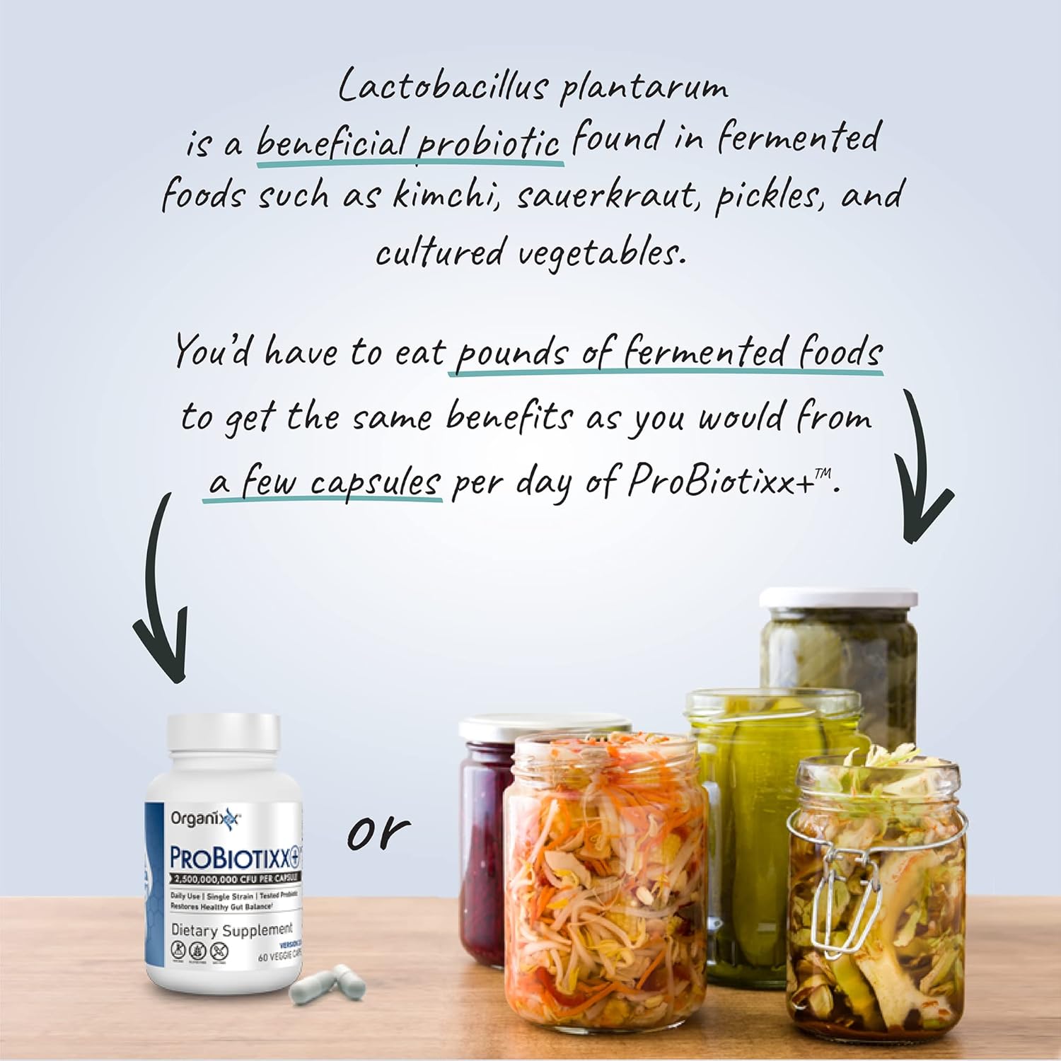 Organixx ProBiotixx+ Daily Probiotic Supplement for Digestive & Gut Health - 60 Capsules