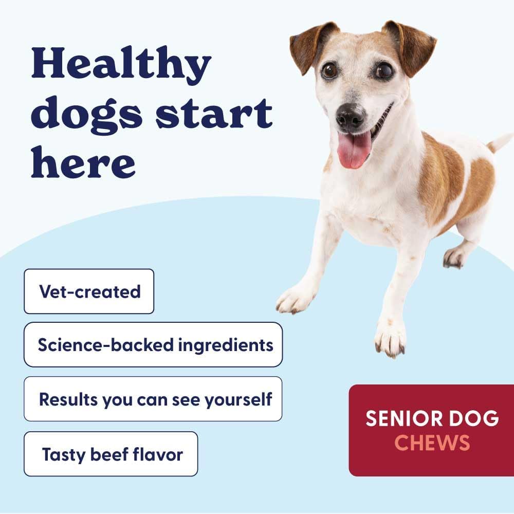 Origin Labs Senior Dog Supplement with Omega 3, Probiotics, Glucosamine, and Beef Liver Flavor - 90 Soft Chews for Gut, Heart, Skin, Liver, Joints, and Immune Support