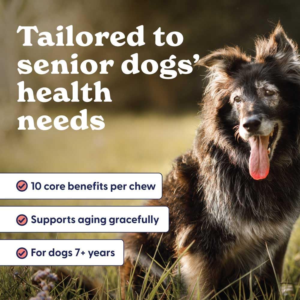 Origin Labs Senior Dog Supplement with Omega 3, Probiotics, Glucosamine, and Beef Liver Flavor - 90 Soft Chews for Gut, Heart, Skin, Liver, Joints, and Immune Support