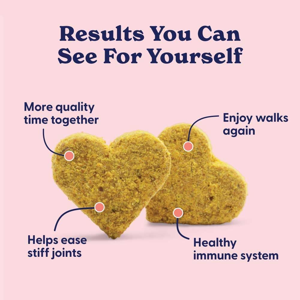 Origin Labs Senior Dog Supplement with Omega 3, Probiotics, Glucosamine, and Beef Liver Flavor - 90 Soft Chews for Gut, Heart, Skin, Liver, Joints, and Immune Support