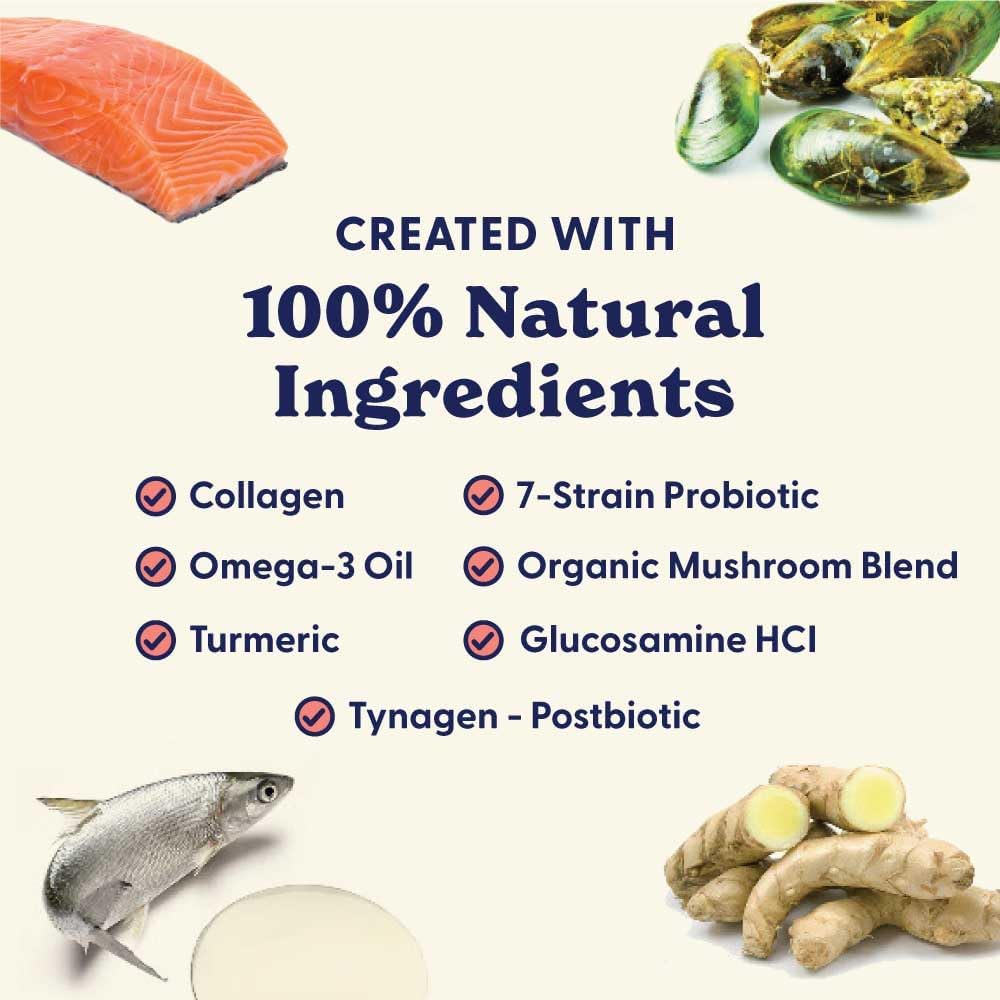 Origin Labs Senior Dog Supplement with Omega 3, Probiotics, Glucosamine, and Beef Liver Flavor - 90 Soft Chews for Gut, Heart, Skin, Liver, Joints, and Immune Support