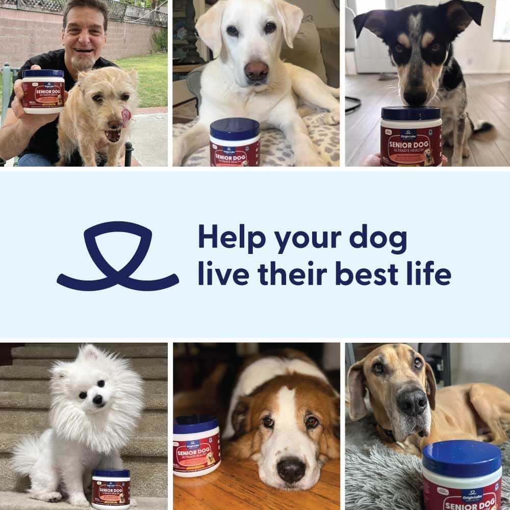 Origin Labs Senior Dog Supplement with Omega 3, Probiotics, Glucosamine, and Beef Liver Flavor - 90 Soft Chews for Gut, Heart, Skin, Liver, Joints, and Immune Support