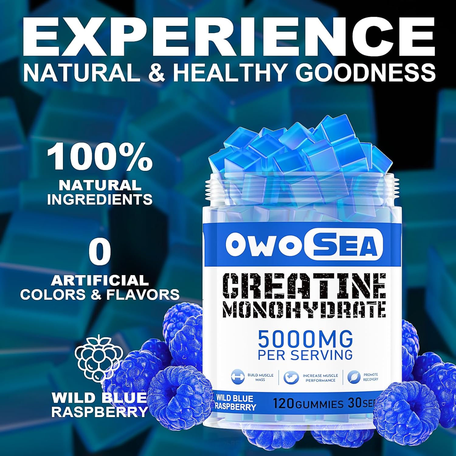 OWOSEA Creatine Monohydrate Gummies - 5000mg per Serving - Muscle Support & Energy Boost - 120 Count Chewable - Sugar Free Vegan - Blue Raspberry Flavor