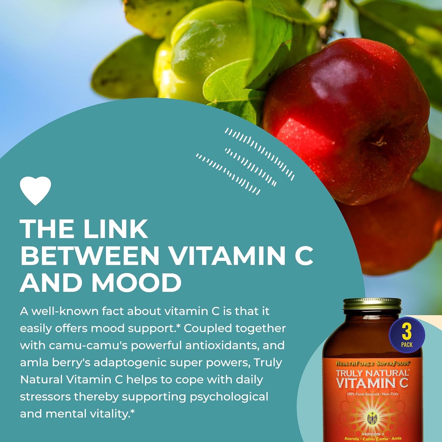 Pack of 2 HealthForce SuperFoods Truly Natural Vitamin C - Immune Support with Camu Camu Berry - Vegan, Non-GMO - 400g