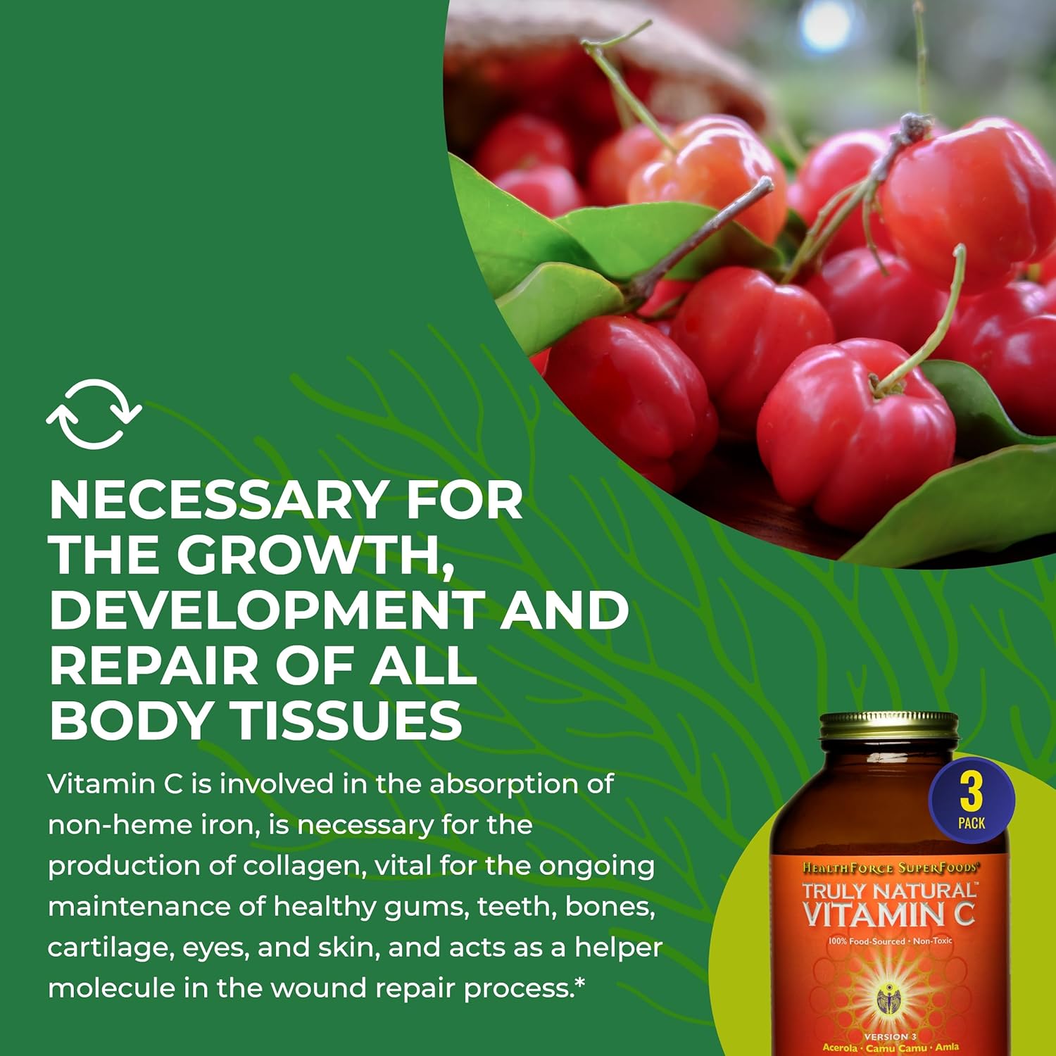 Pack of 2 HealthForce SuperFoods Truly Natural Vitamin C - Immune Support with Camu Camu Berry - Vegan, Non-GMO - 400g