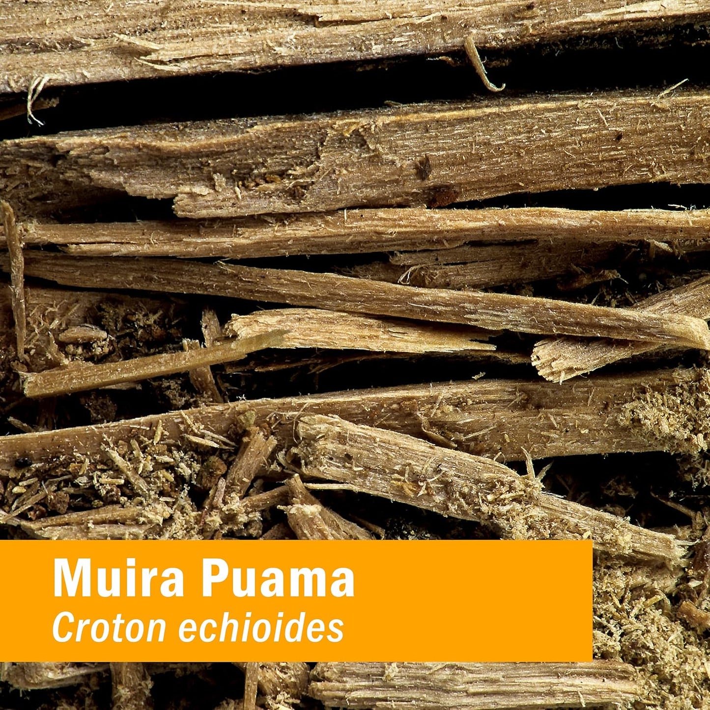 Pack of 2 Herb Pharm Muira Puama Extract for Reproductive System Support - 1 Ounce