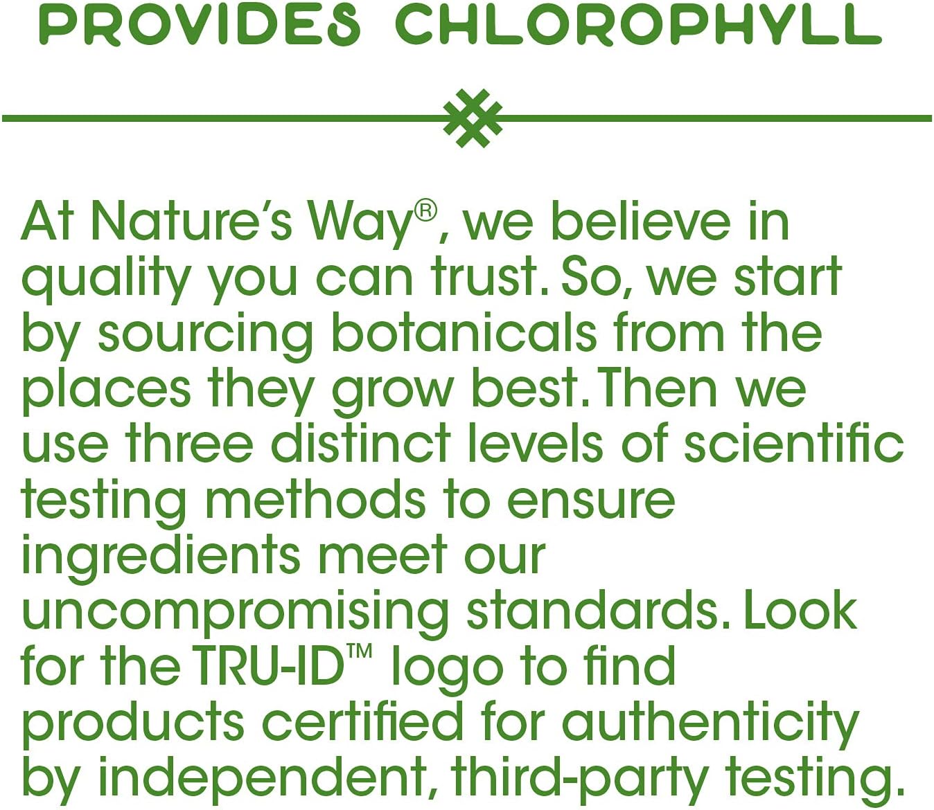 Pack of 2 Nature's Way Premium Herbal Parsley Leaf Capsules - Vegan, Chlorophyll-Rich Supplement