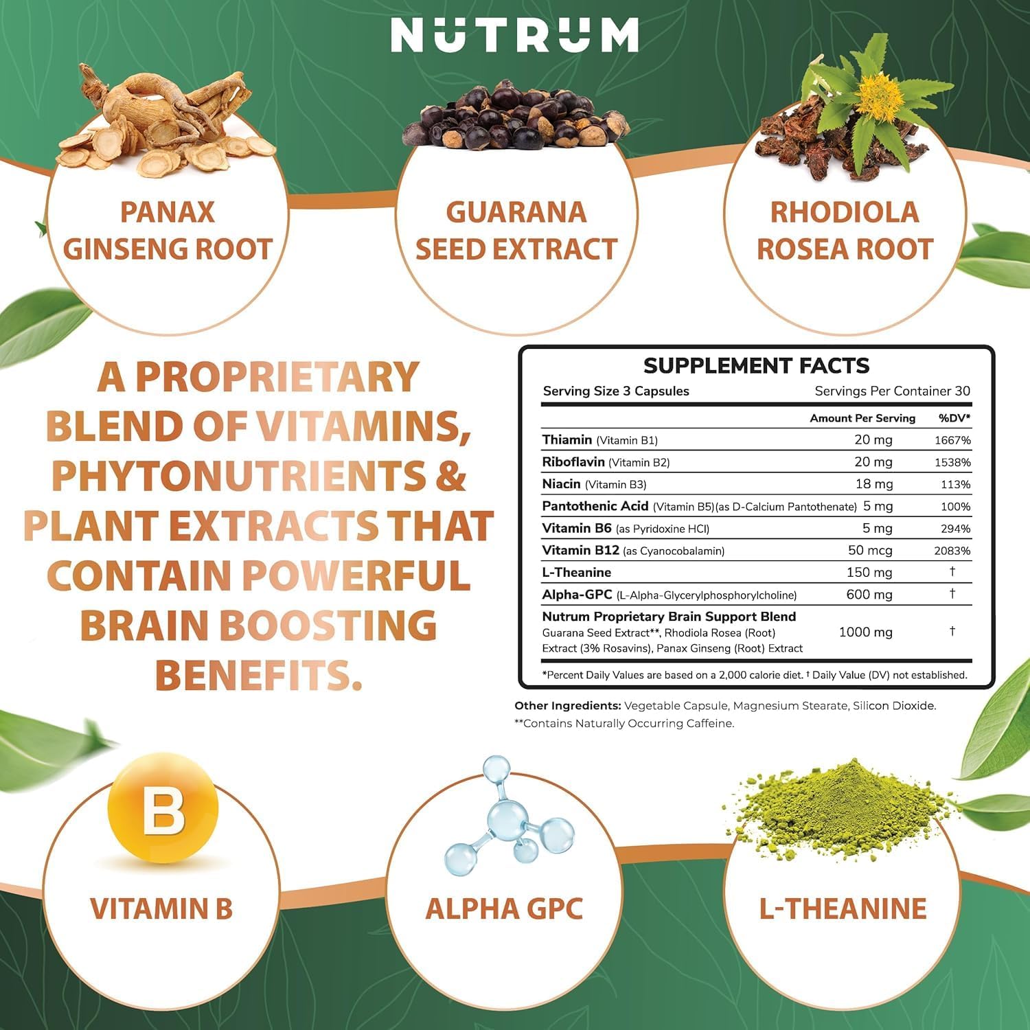Pack of 2 Nutrum Brain Booster Nootropic Supplements for Focus, Memory, and Energy with Alpha-GPC, L-Theanine, Rhodiola, Ginseng, and Guarana