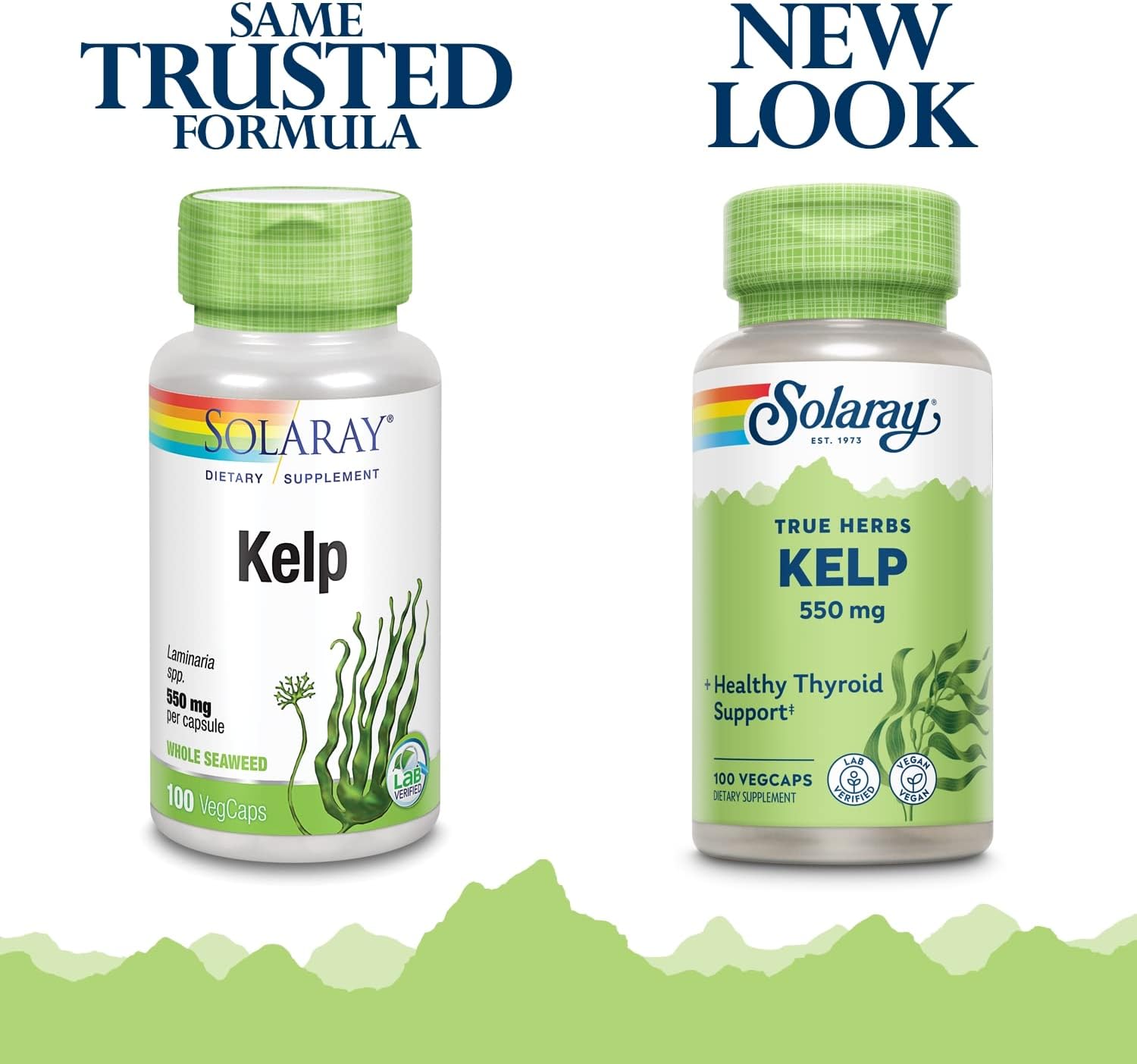Pack of 2 Solaray Kelp 550 mg VegCaps for Healthy Thyroid, Energy & Metabolism Support with Folic Acid | Non-GMO