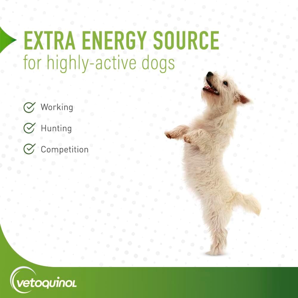 Pack of 2 Vetoquinol Nutri-Cal High Calorie Supplement for Cats and Dogs - 4.25 Oz Each - BoostGo Australia