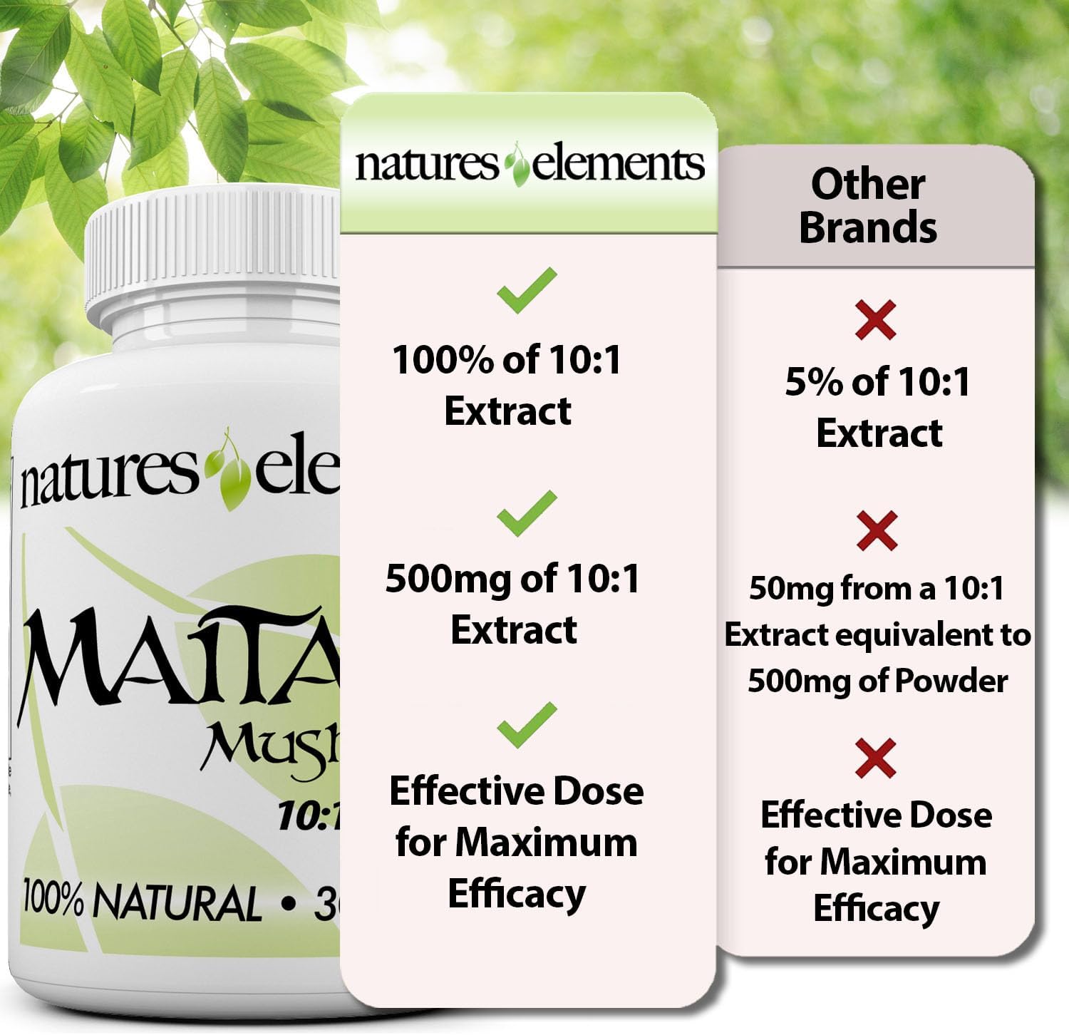 Pack of 3 Natures Elements Maitake Mushroom Extract Capsules - Immune Support with 10:1 Extract & 30% Polysaccharides - Vegetarian-Friendly
