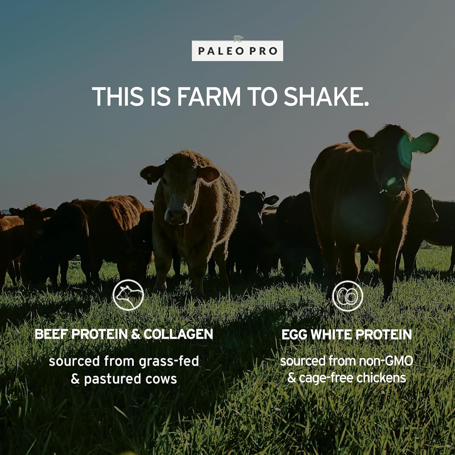 PaleoPro Protein Powder: Gluten, Dairy, Whey, and Soy Free, Hormone-Free Grass-Fed Beef, Mayan Mocha Flavor, 1lb/454g