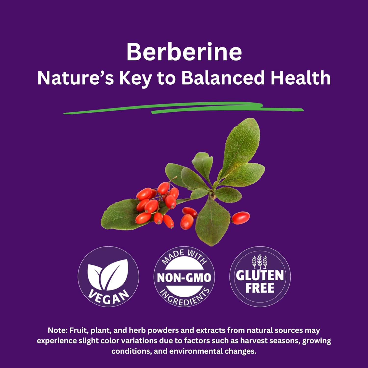 Paradise Herbs Berberine Extract 500mg Supplement - Vegan, Non-GMO, Gluten-Free - 180 Capsules