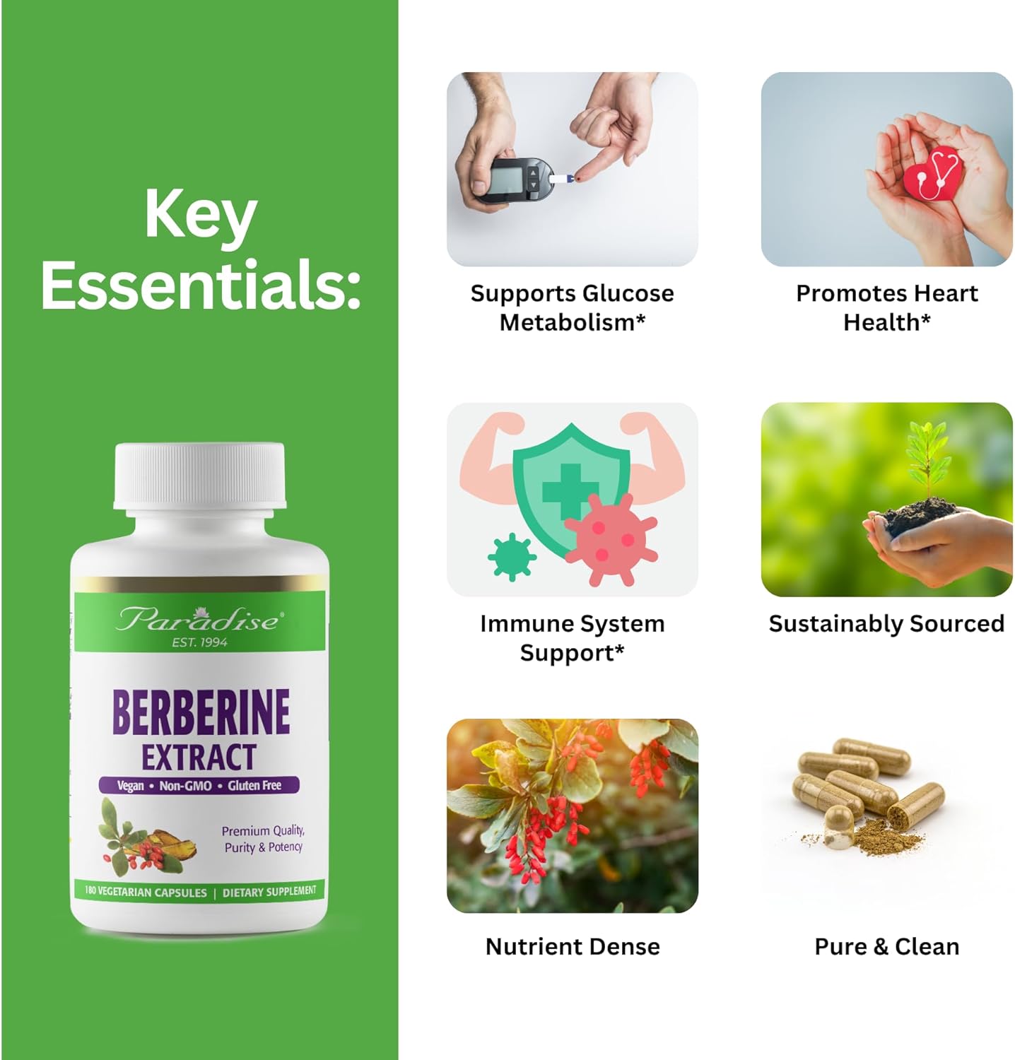 Paradise Herbs Berberine Extract 500mg Supplement - Vegan, Non-GMO, Gluten-Free - 180 Capsules