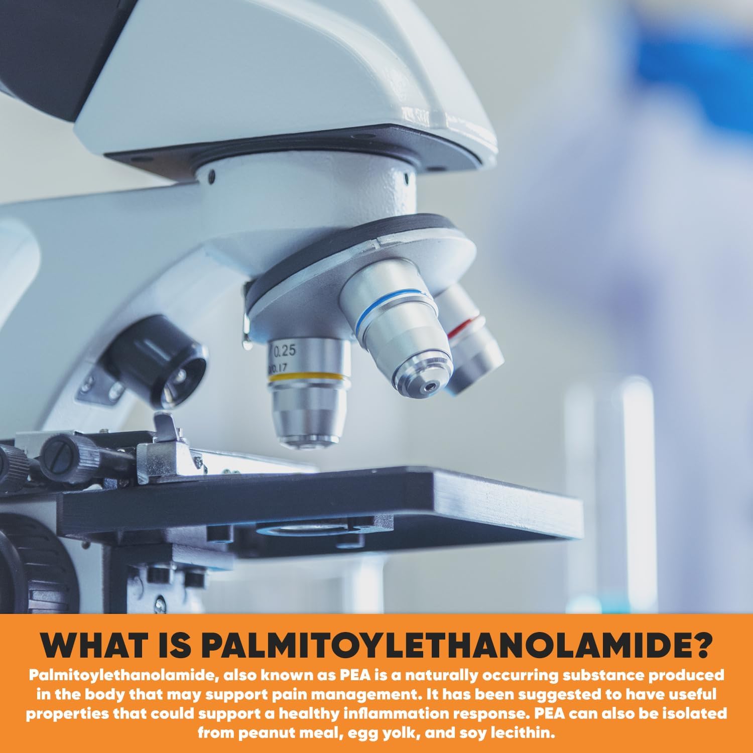 Pea 400mg Capsules for Natural Inflammation & Pain Relief | 60 Pills by HARVEST NATURALS | Lab Tested Formula