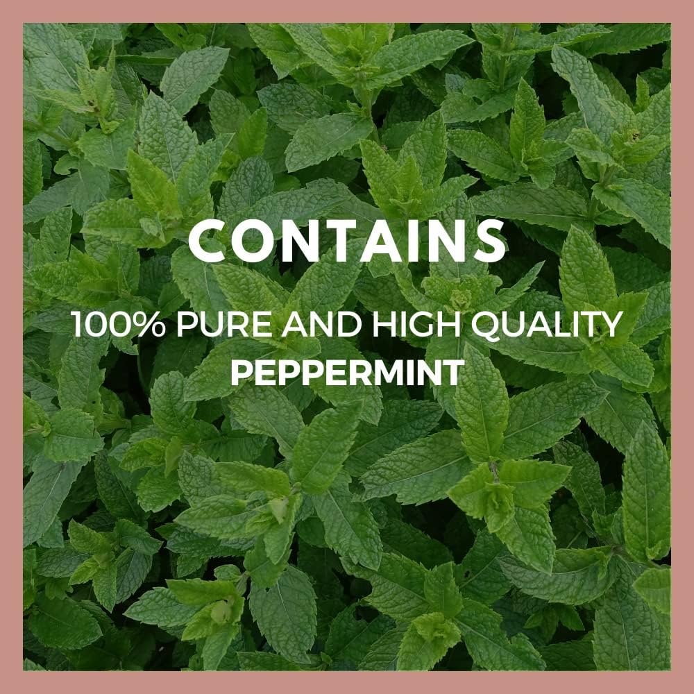 Peppermint Leaf 1,000mg Capsules | Herbal Dietary Supplement | Two Month Supply | Non-GMO, Gluten Free, Dairy Free, No Additives