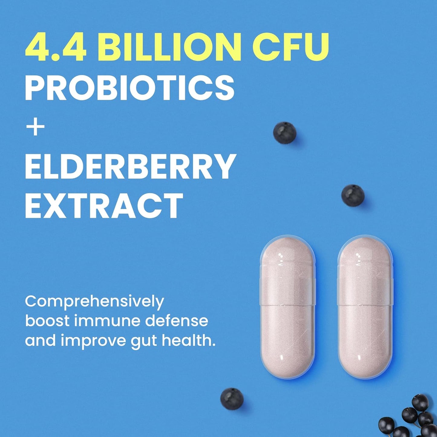 Perfiby Elderberry Probiotics: Supports Digestive & Immune Health, 120 Capsules