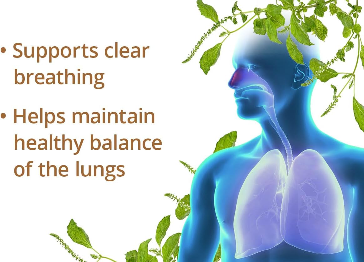 Perilla Clear Capsules - Natural Herbal Supplement for Clarity and Wellness - 60 Capsules, 500 mg